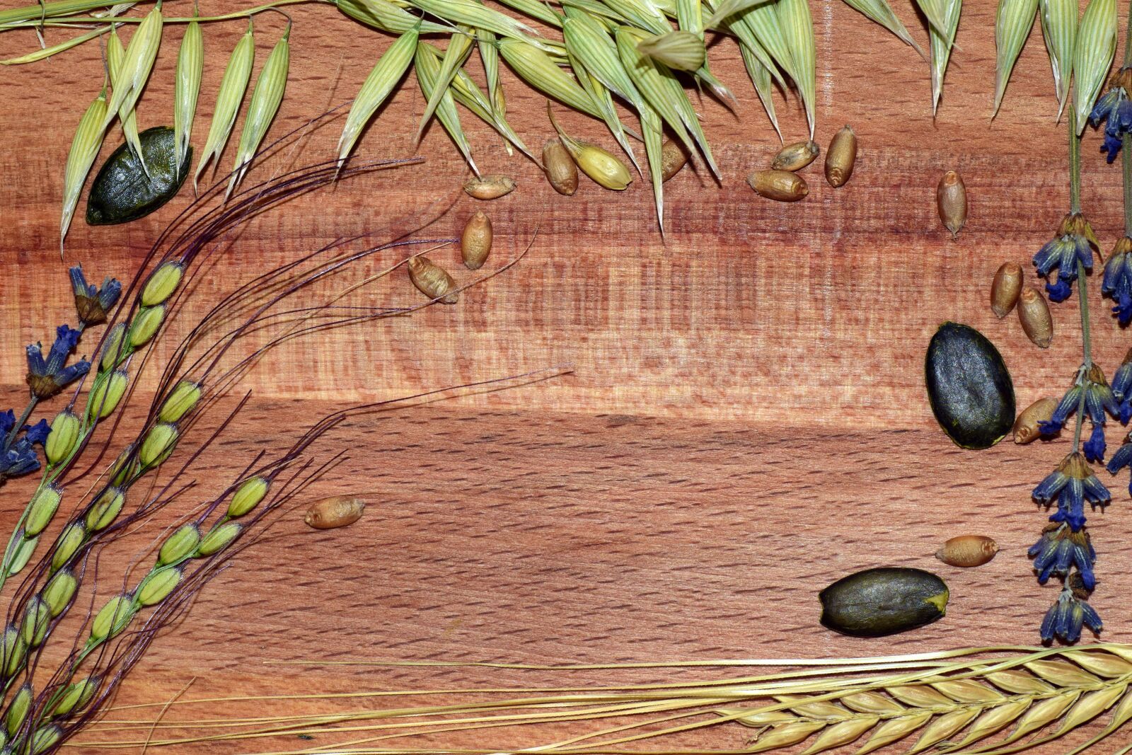 Nikon D3300 sample photo. Cereals, rice, barley photography
