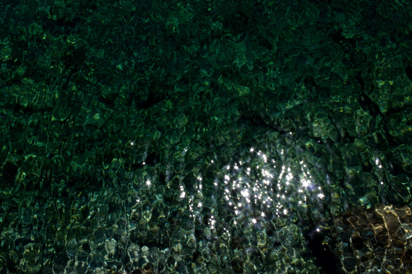 Canon EOS 1300D (EOS Rebel T6 / EOS Kiss X80) sample photo. Seawater, green, glistening photography
