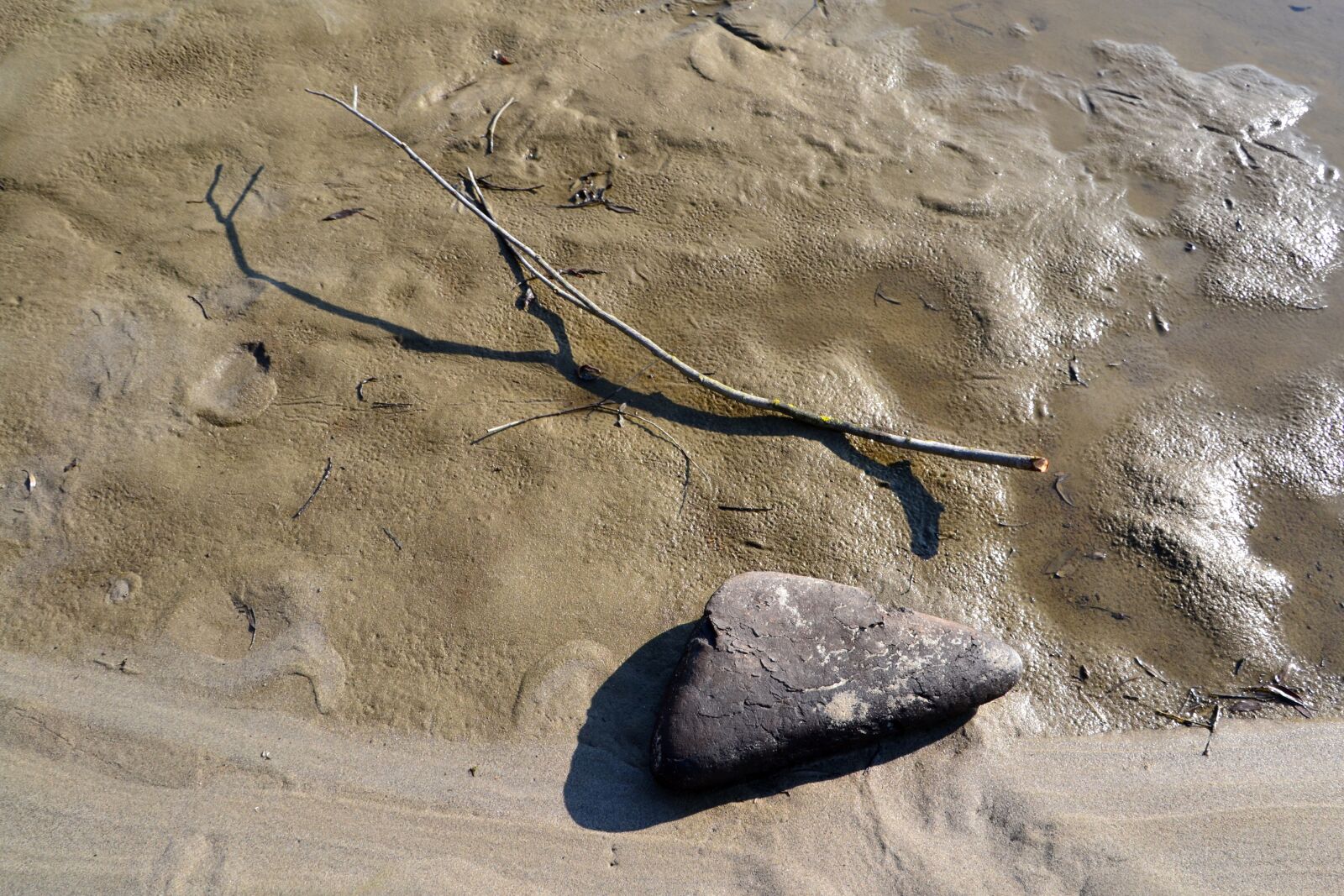 Nikon D3100 sample photo. Hungary, baranya, drava photography