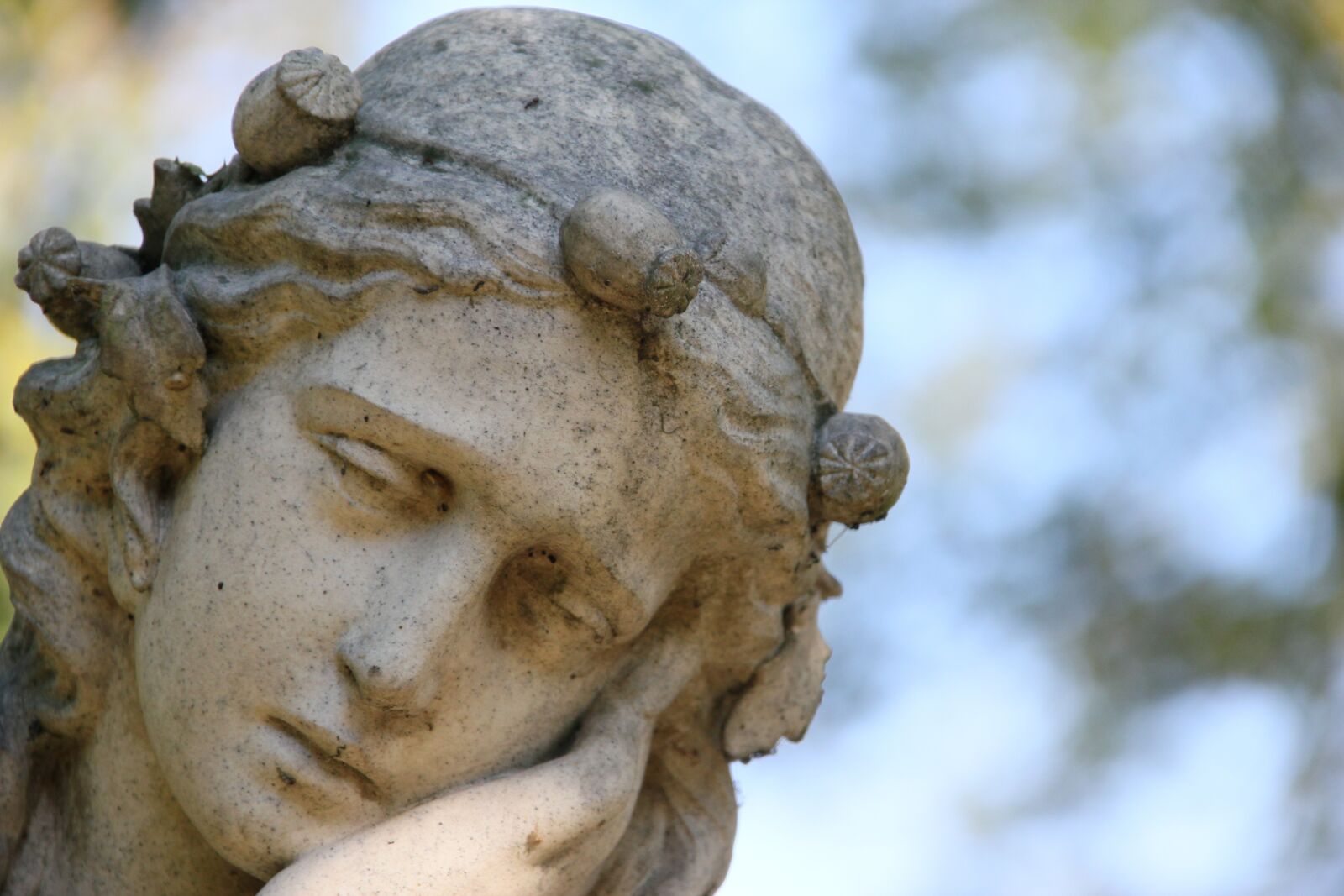 Canon EOS 550D (EOS Rebel T2i / EOS Kiss X4) sample photo. Angel, statue, cemetery photography