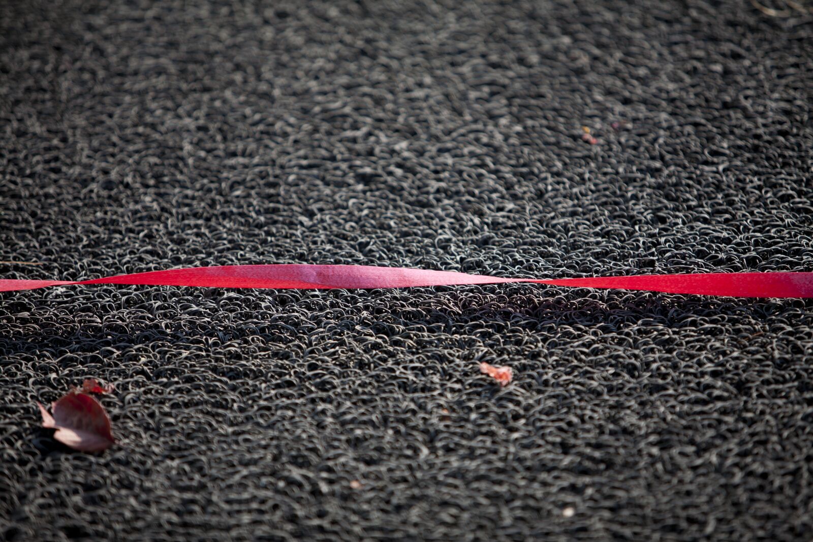 Canon EOS 5D sample photo. Line, floor, leaves photography