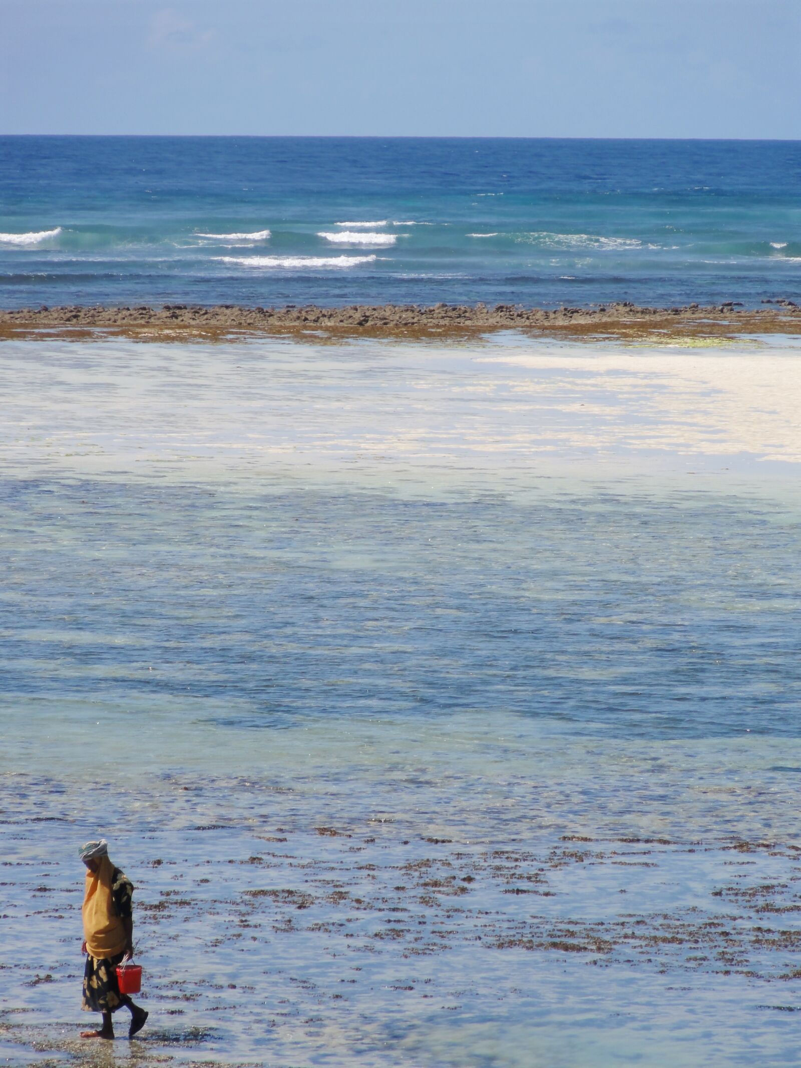 Sony DSC-HX5V sample photo. Tanzania, collect shells, water photography