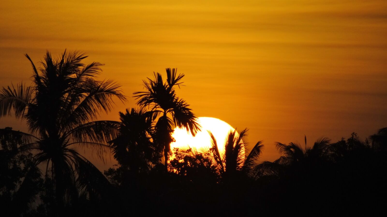 Sony Cyber-shot DSC-HX100V sample photo. Viet nam, asia, nature photography
