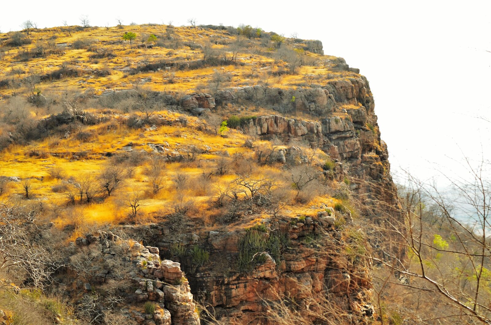 Nikon D7000 sample photo. Hillock, nature, india photography