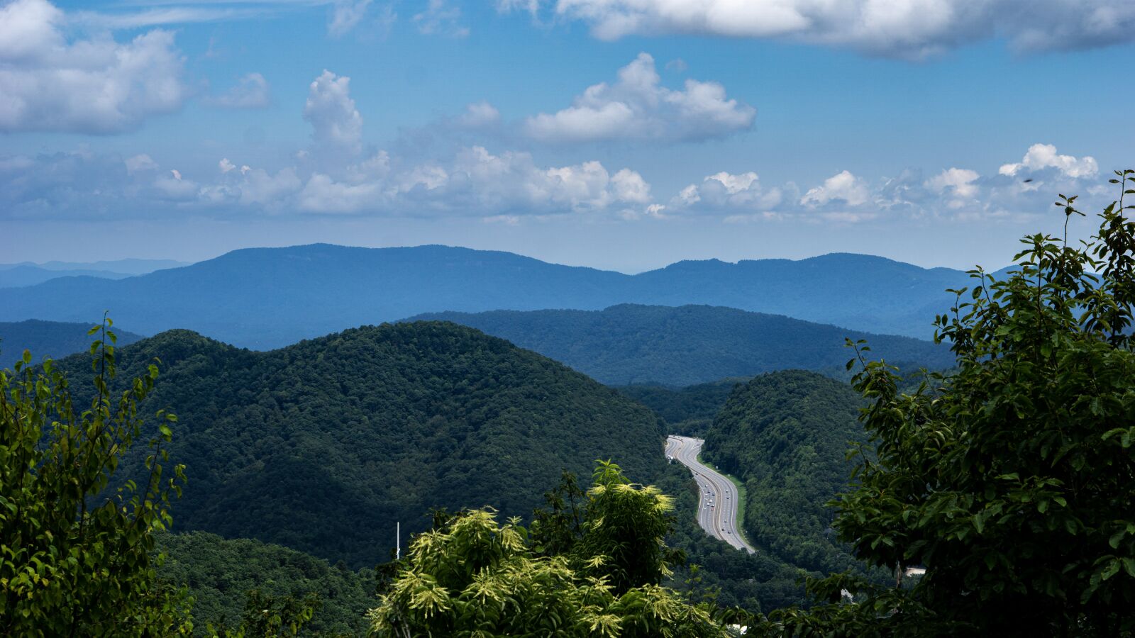 E 50mm F1.8 OSS sample photo. Mountain, tree, landscape photography