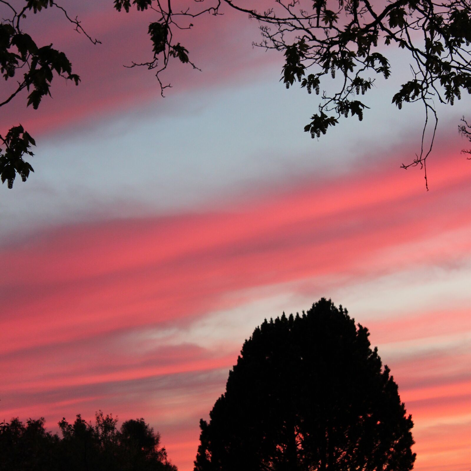 Canon EOS 600D (Rebel EOS T3i / EOS Kiss X5) sample photo. Sunset, afterglow, sun photography