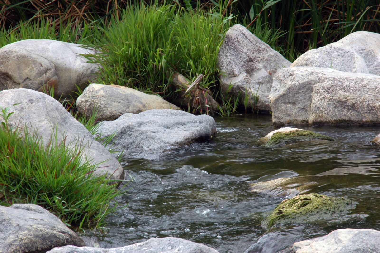 Nikon D70s sample photo. River, nature, landscape photography