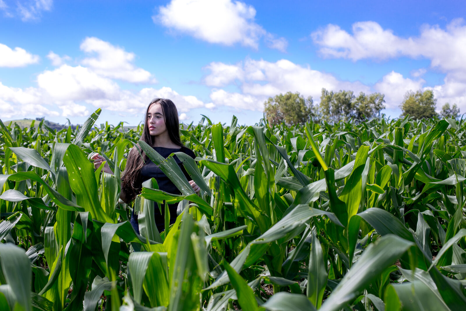 Canon EOS 6D sample photo. Agriculture, clouds, cropland, crops photography