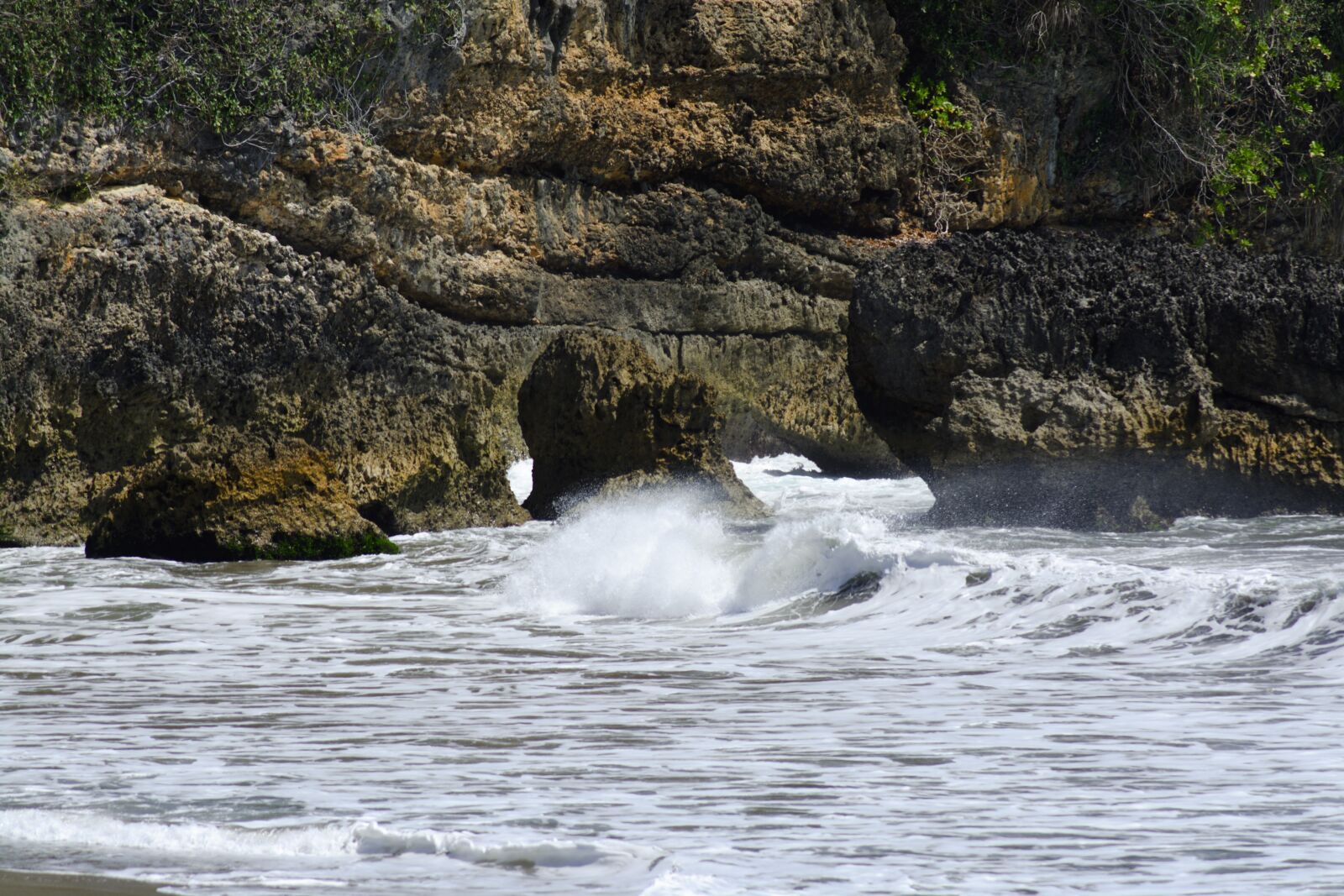 Nikon D5200 sample photo. Wave, coral, reef photography