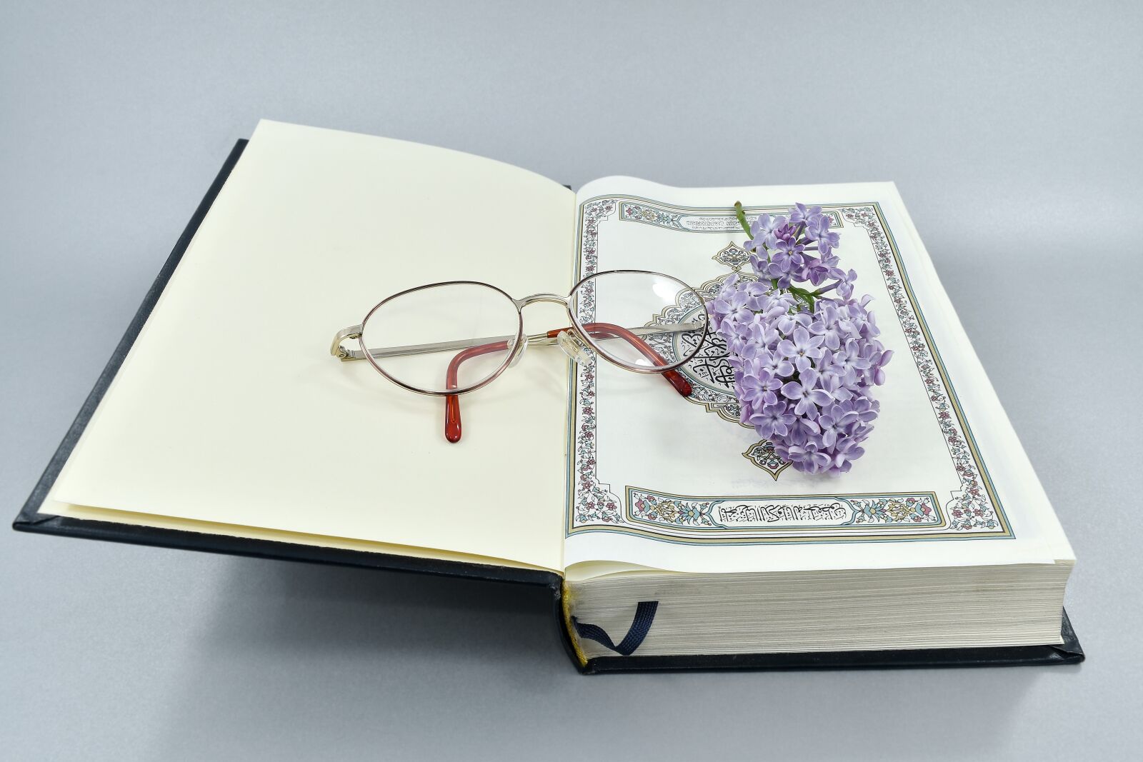 Nikon D5500 sample photo. Book, eyeglasses, illustration, poetry photography