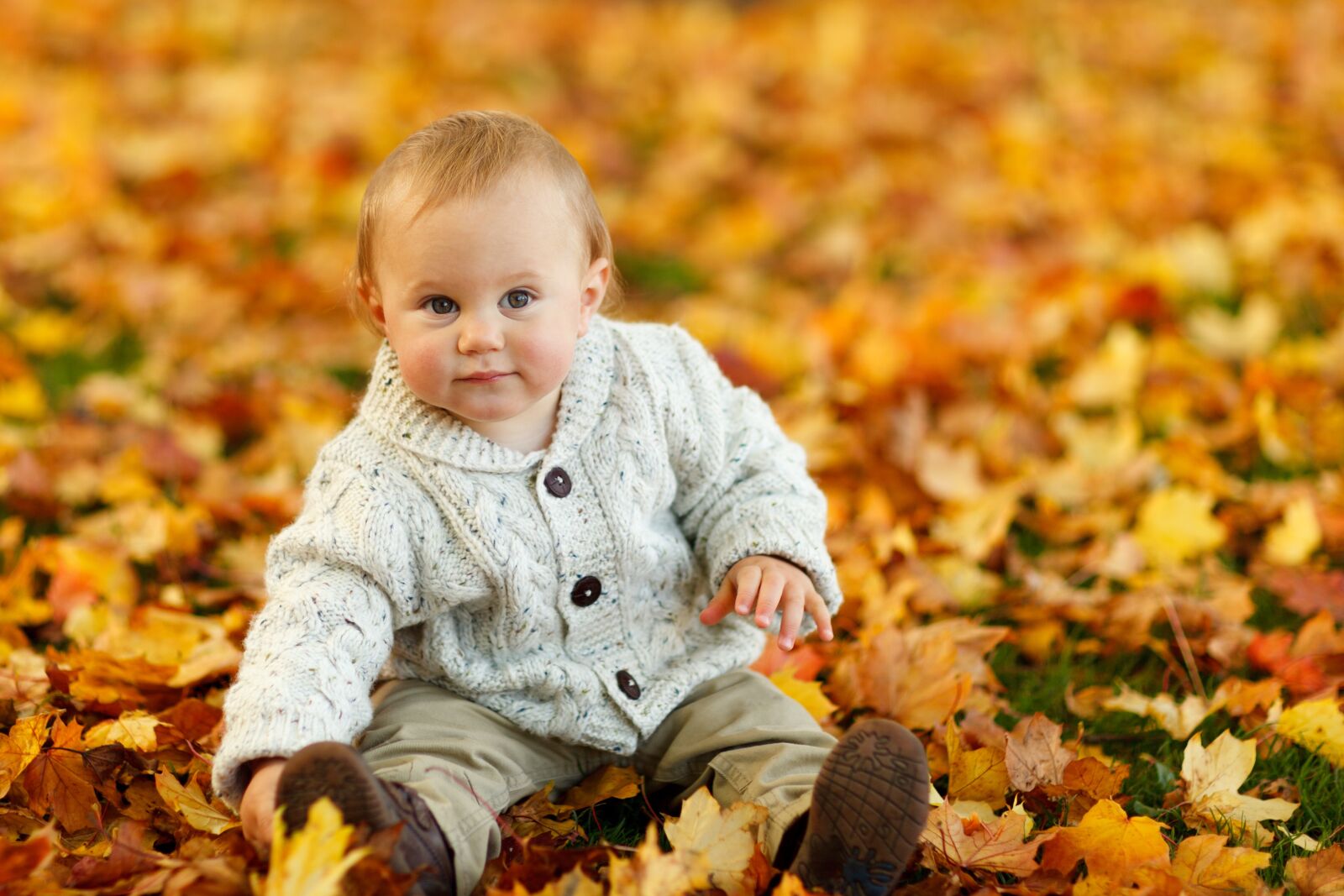 Canon EOS 5D Mark II sample photo. Infant, in, gray, 3 photography