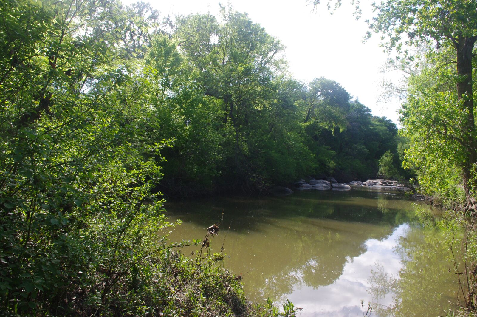 Pentax K-x sample photo. Texas, outdoor, nature photography