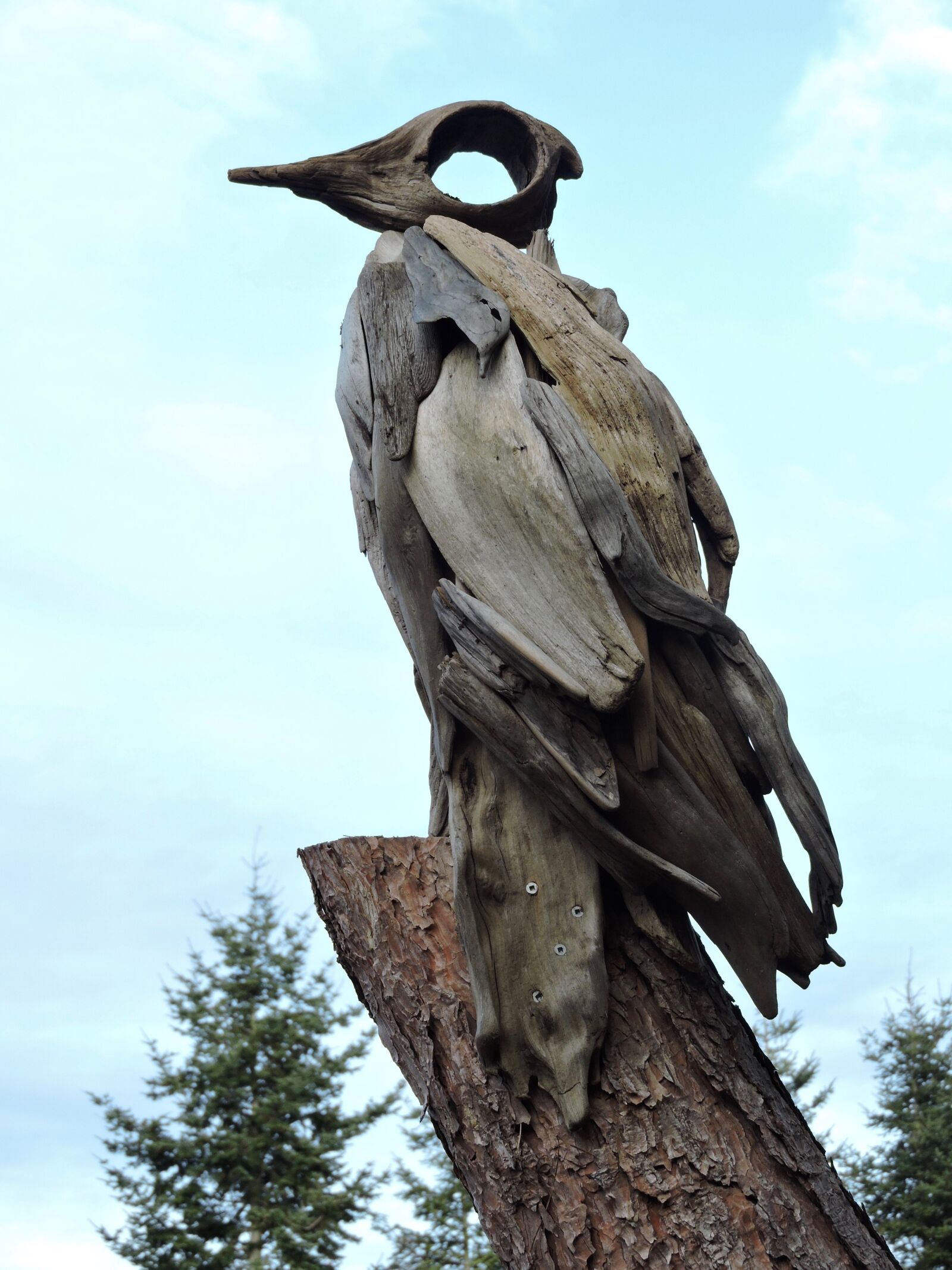 Nikon Coolpix P600 sample photo. Heron, driftwood, art photography