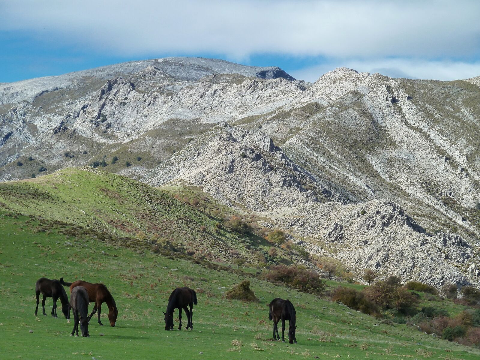 Panasonic Lumix DMC-ZS5 (Lumix DMC-TZ8) sample photo. Mountain, horses, landscape photography