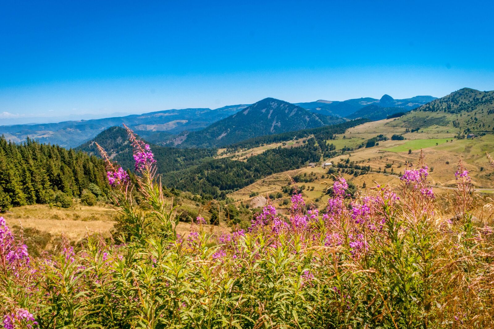 Sony DT 18-70mm F3.5-5.6 sample photo. Mezenc, nature, auvergne photography