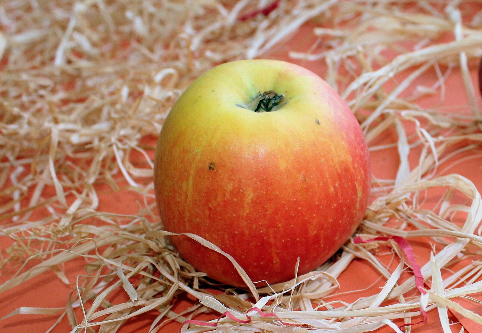 Canon EOS 1200D (EOS Rebel T5 / EOS Kiss X70 / EOS Hi) sample photo. Apple, fruit, healthy food photography