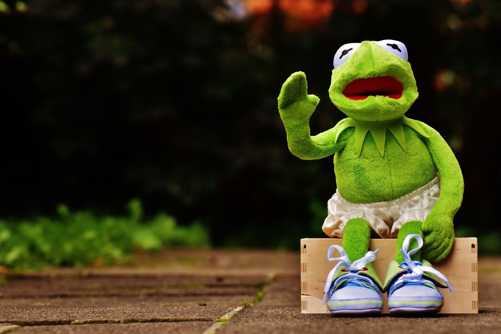 Nikon D7200 sample photo. Kermit, sit, bank photography