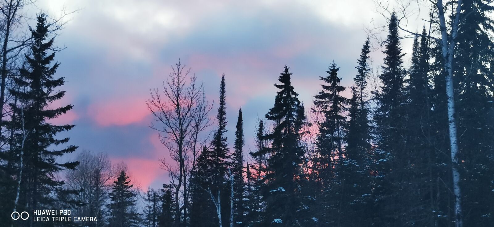 HUAWEI P30 sample photo. Sunset, trees, evening photography