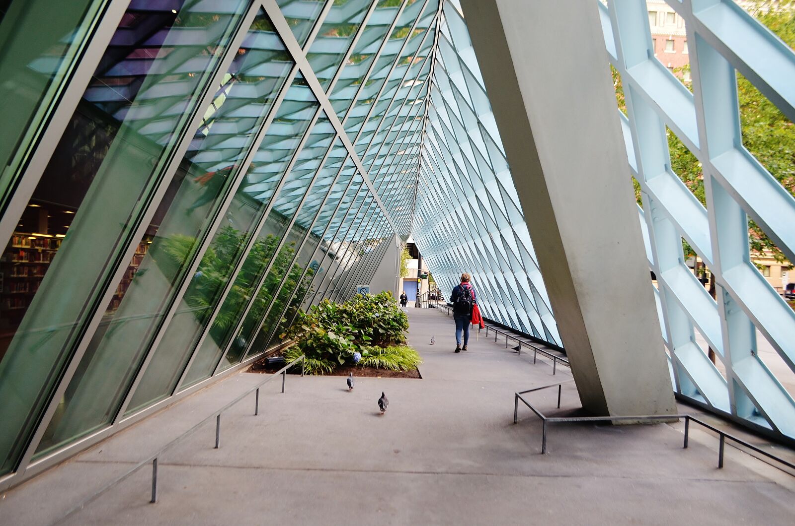 Nikon D5100 sample photo. Seattle, washington, city photography