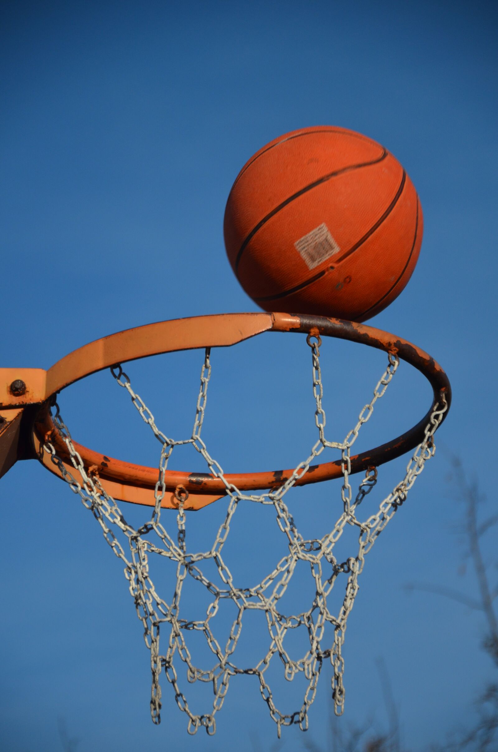 Nikon D5100 sample photo. Basketball, ball, sport photography