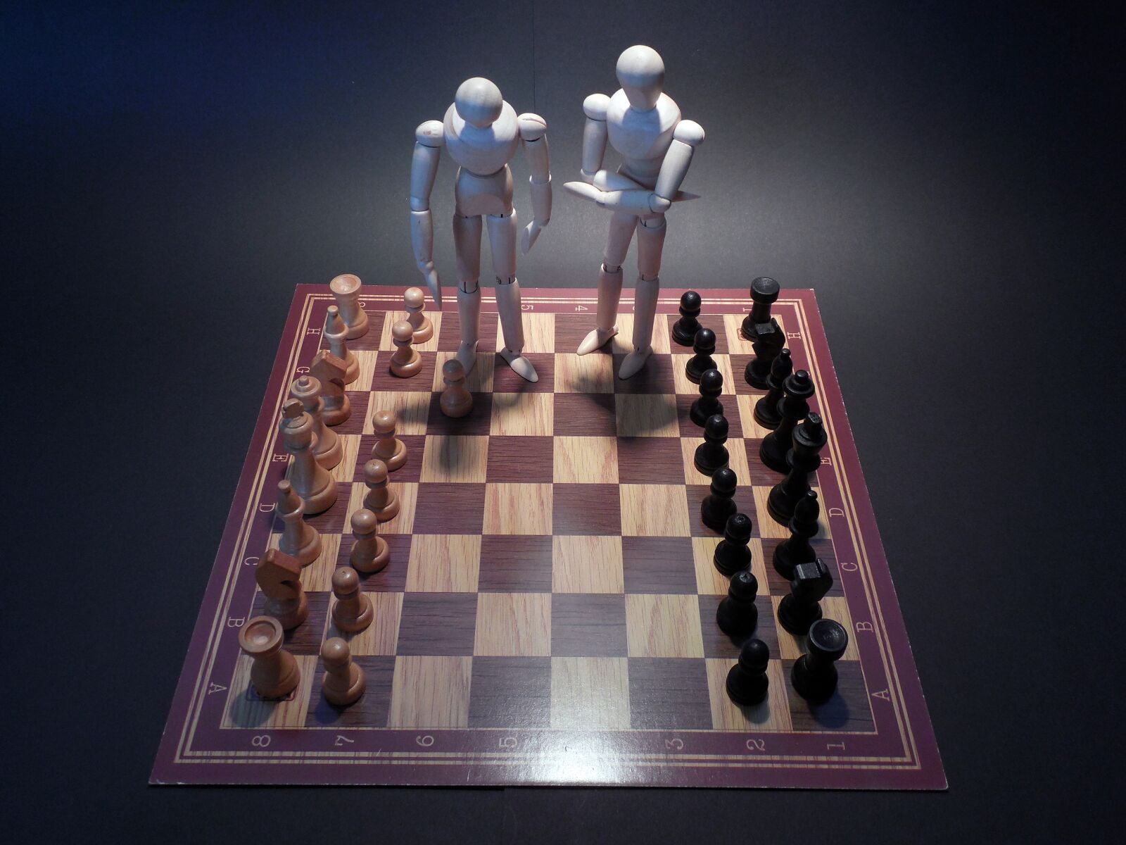 Nikon COOLPIX L620 sample photo. Chess, board game, play photography