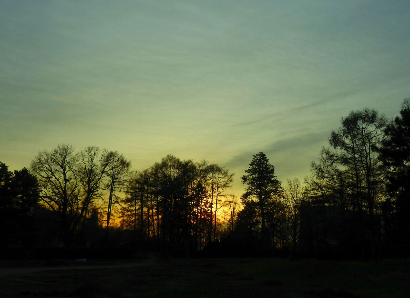 Panasonic Lumix DMC-FZ200 sample photo. Sunset, botanical garden, kiev photography
