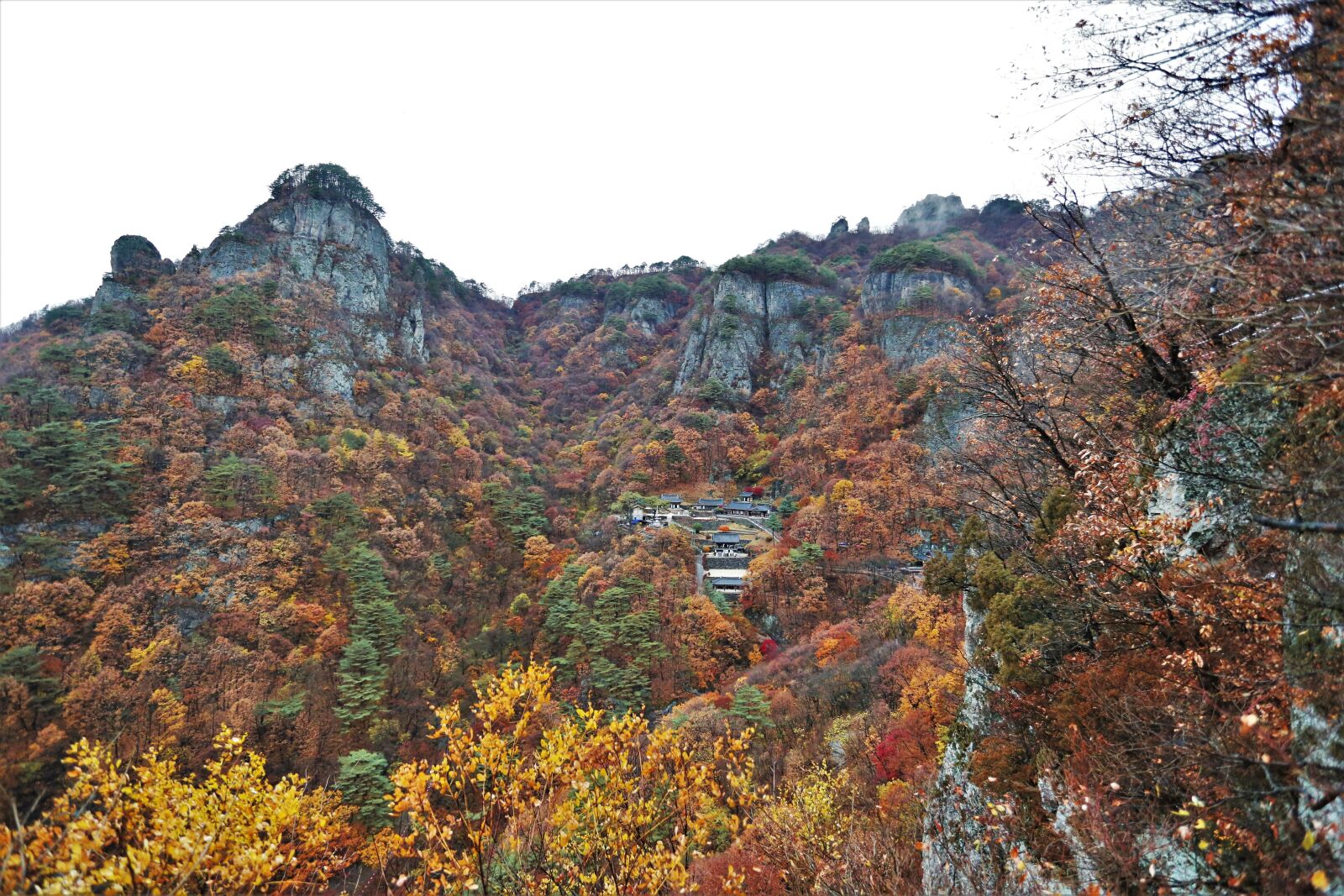 Canon EOS 5D Mark III + Canon EF 17-40mm F4L USM sample photo. Gaeulsan, cleaning company, gangwon photography