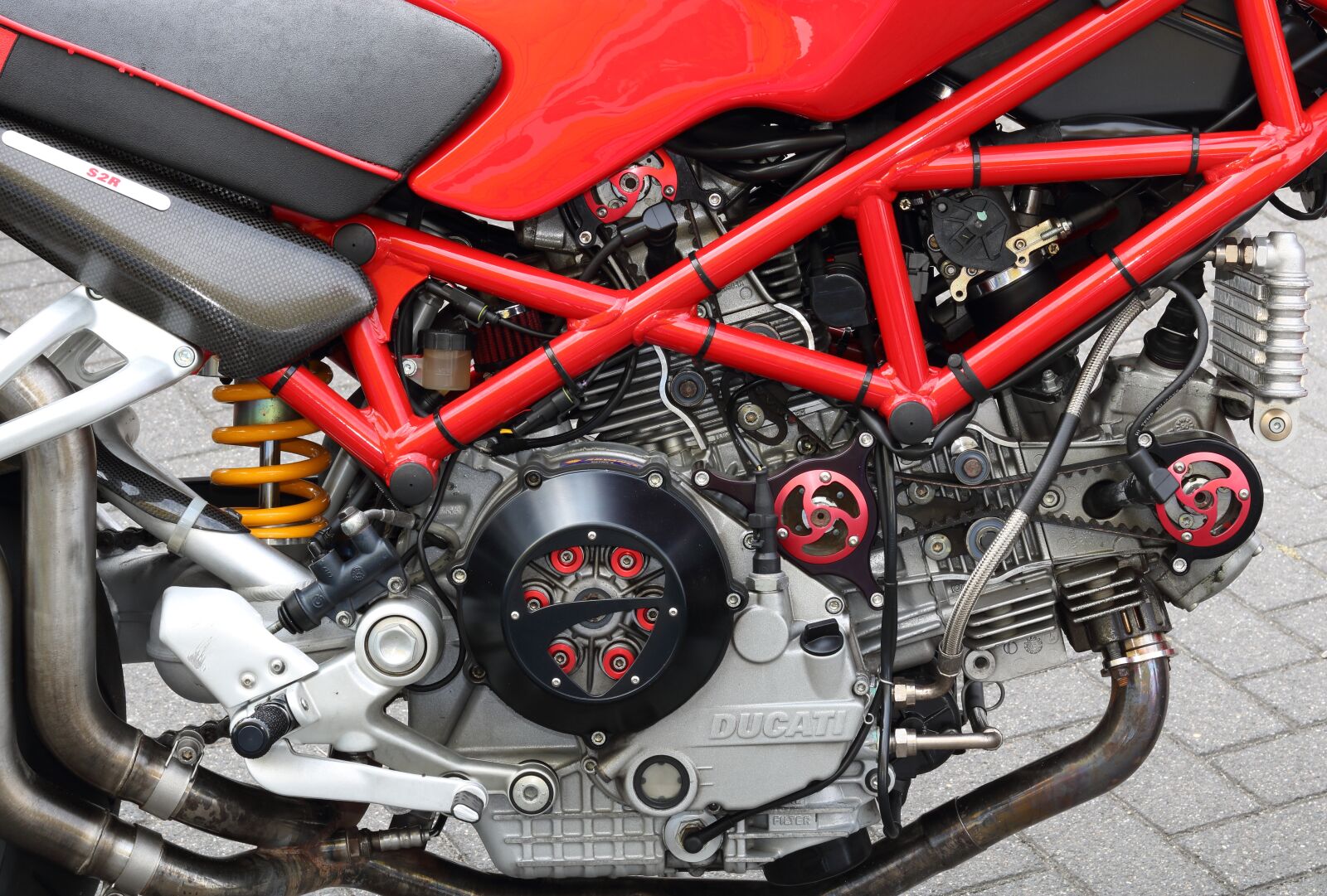 Canon EOS 750D (EOS Rebel T6i / EOS Kiss X8i) sample photo. Ducati, monster, motorcycle photography