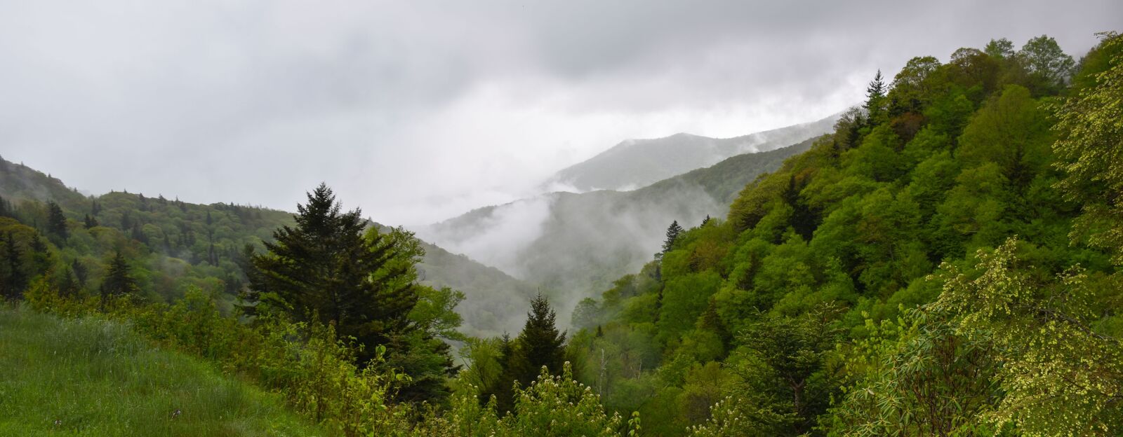 Nikon D5500 sample photo. Landscape, mountains, nature photography