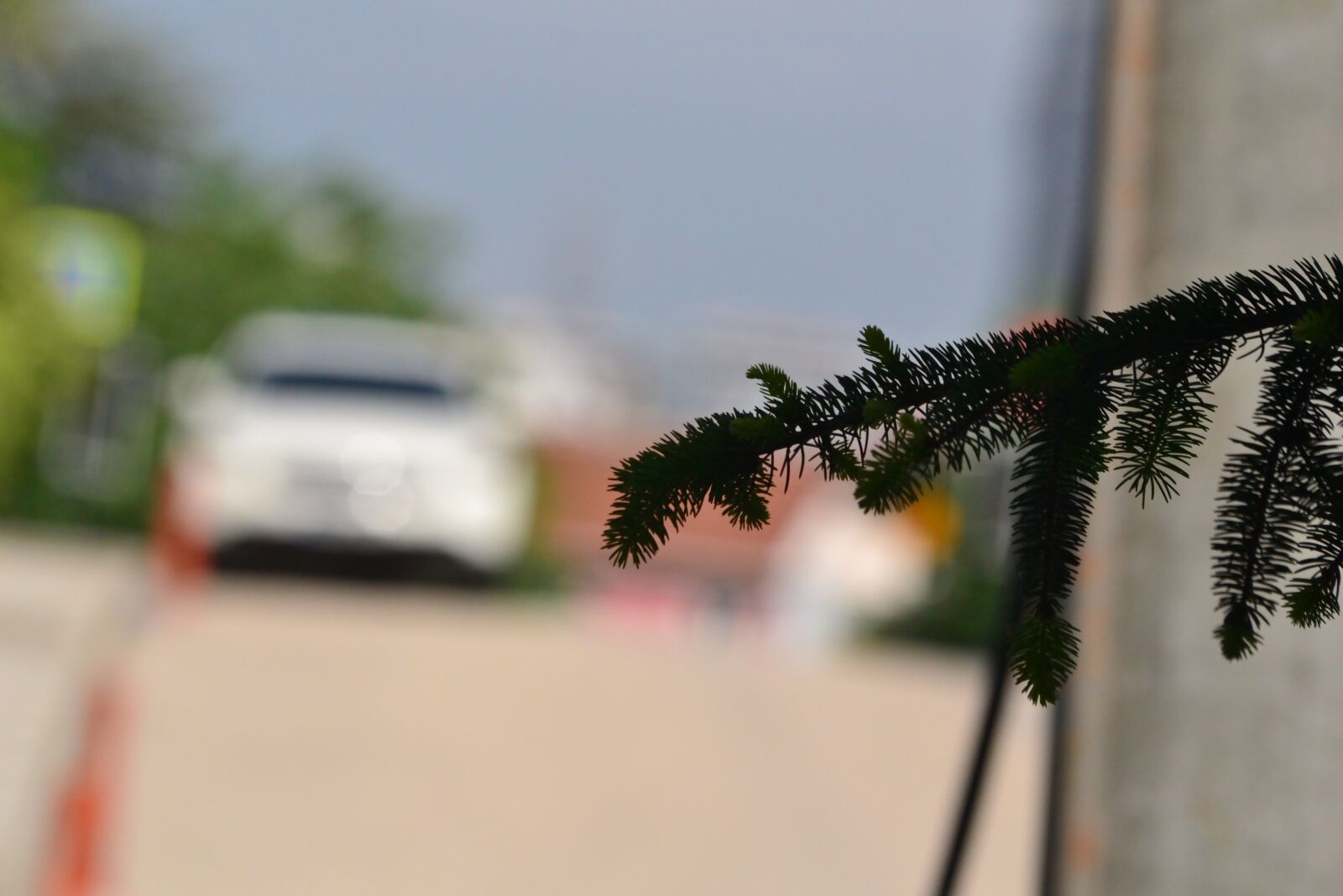 Nikon D3100 sample photo. Turkey, bursa, nilufer photography