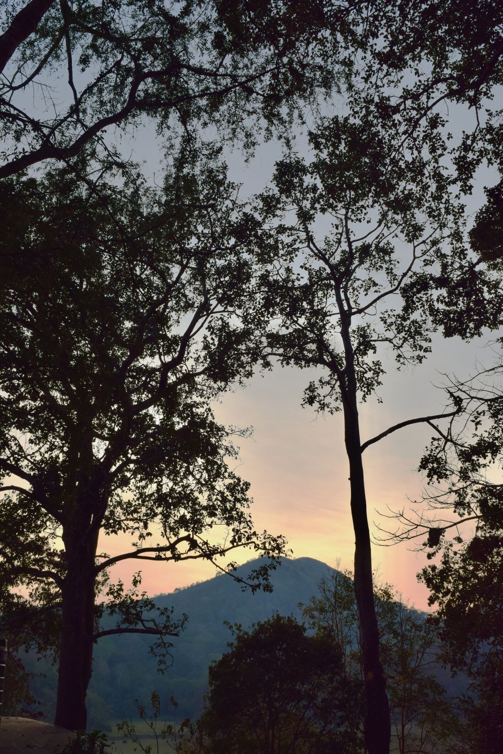 Nikon D3300 sample photo. Dusk, dusk sky, evening photography