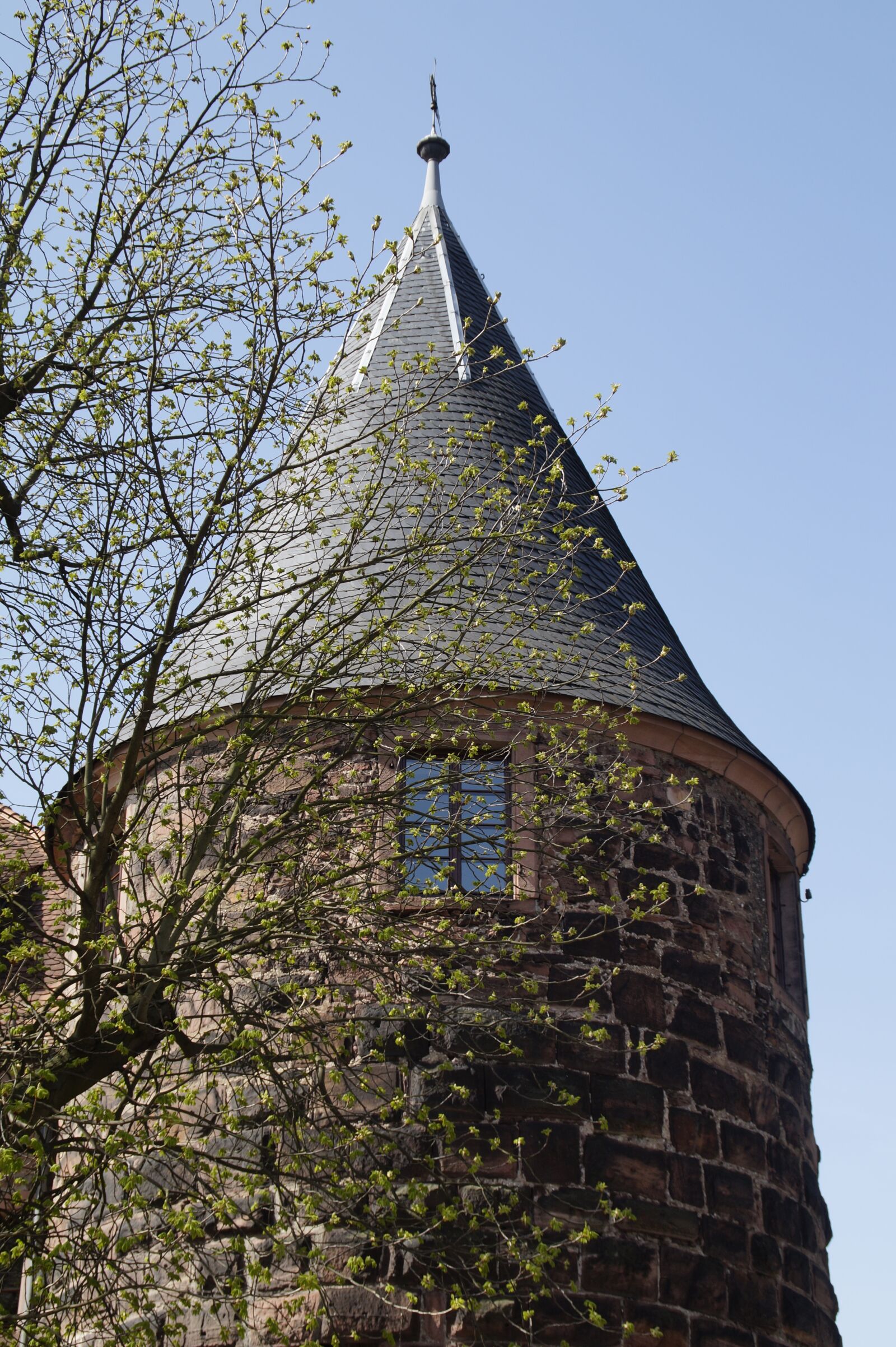 Sony SLT-A58 sample photo. Architecture, old, tower photography