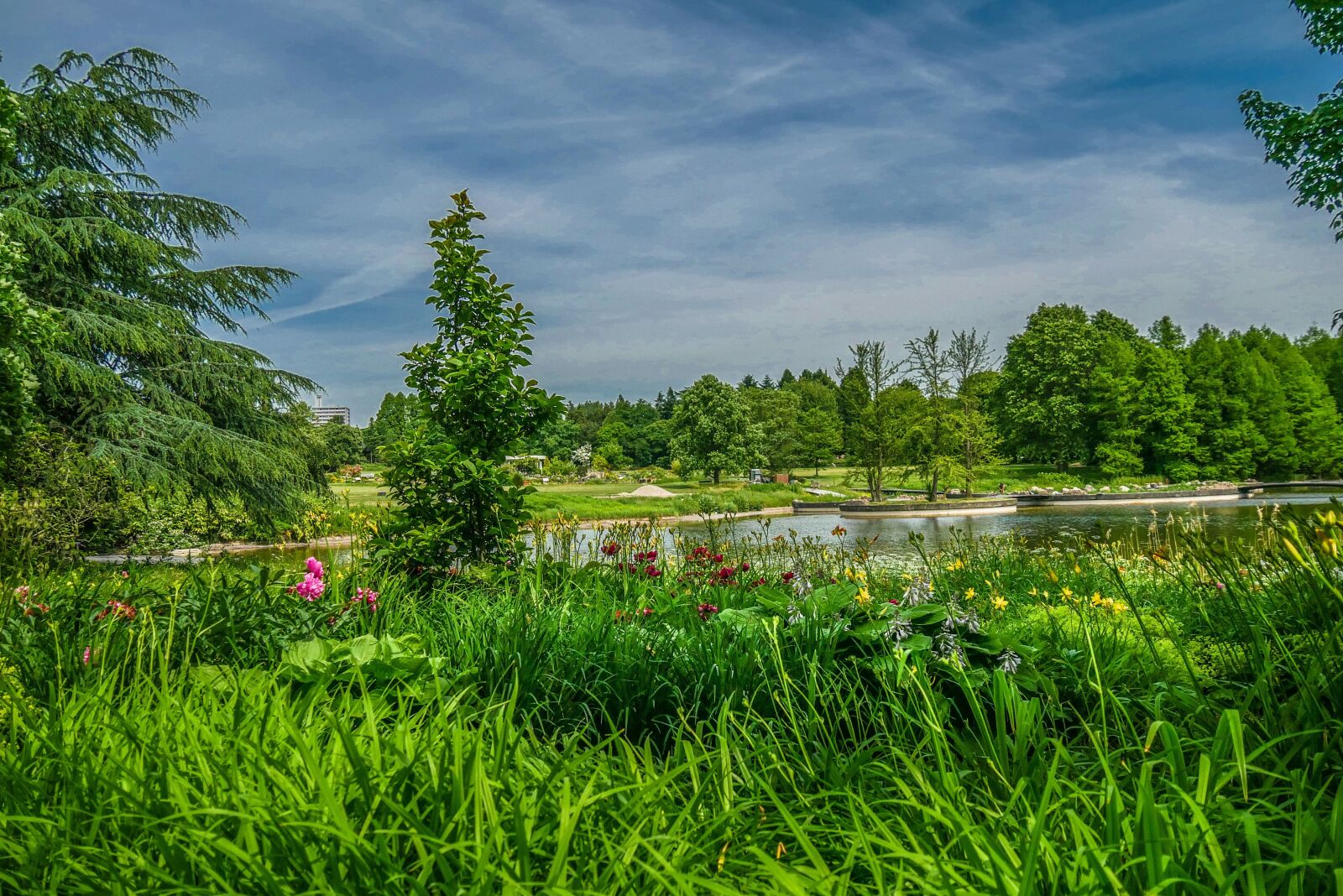 Panasonic DMC-G70 + Panasonic Lumix G Vario 14-140mm F3.5-5.6 ASPH Power O.I.S sample photo. Nature, landscape, grass photography