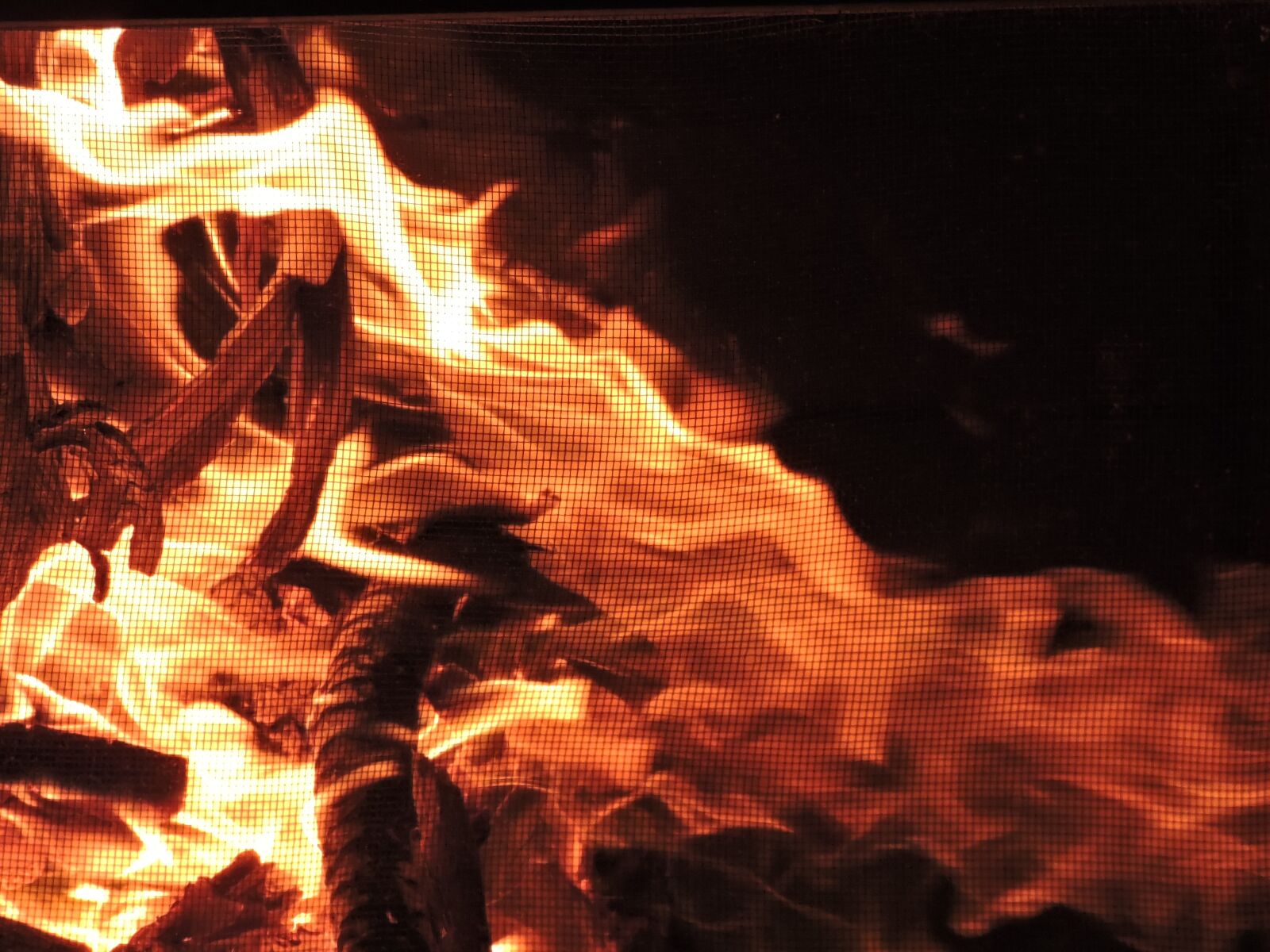 Nikon Coolpix P530 sample photo. Fire, flame, bonfire photography