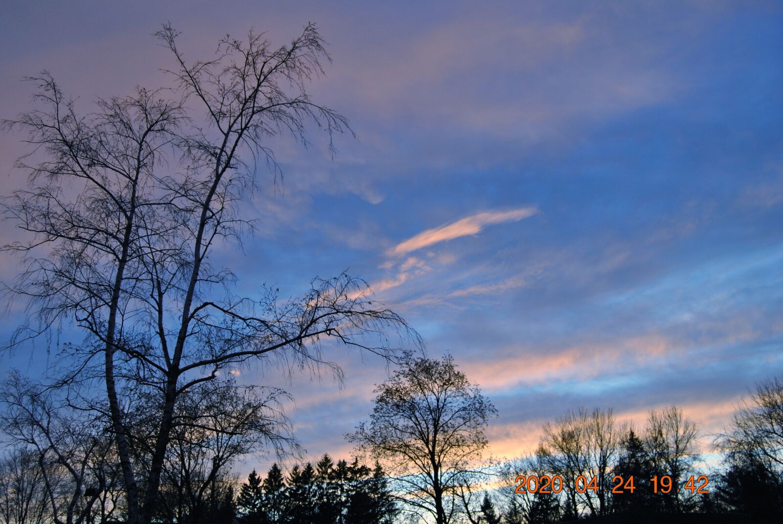 Nikon D3000 sample photo. Sky, tree, dusk photography