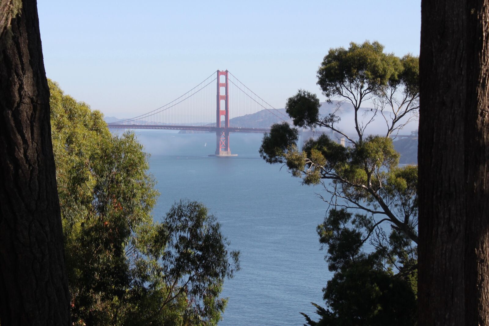 Canon EOS 500D (EOS Rebel T1i / EOS Kiss X3) sample photo. San francisco, california, bridge photography