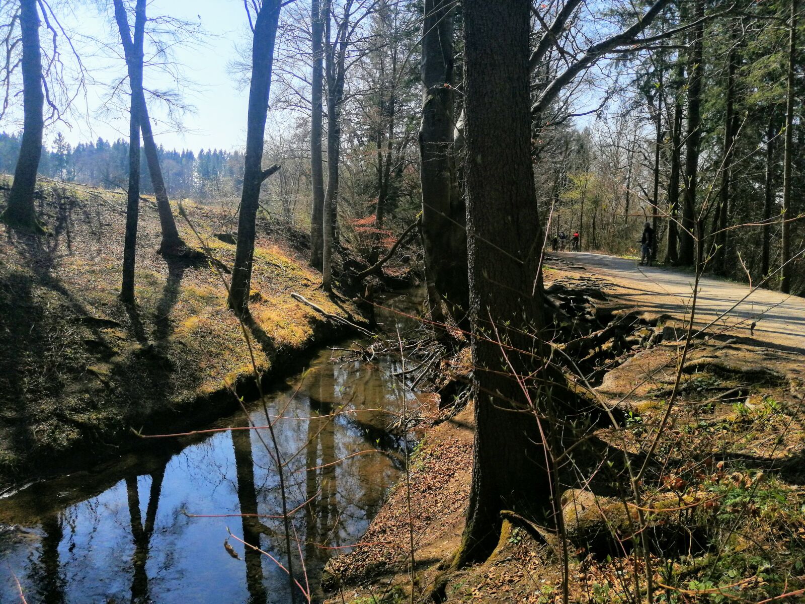HUAWEI SNE-LX1 sample photo. Forest, the brook, peace photography