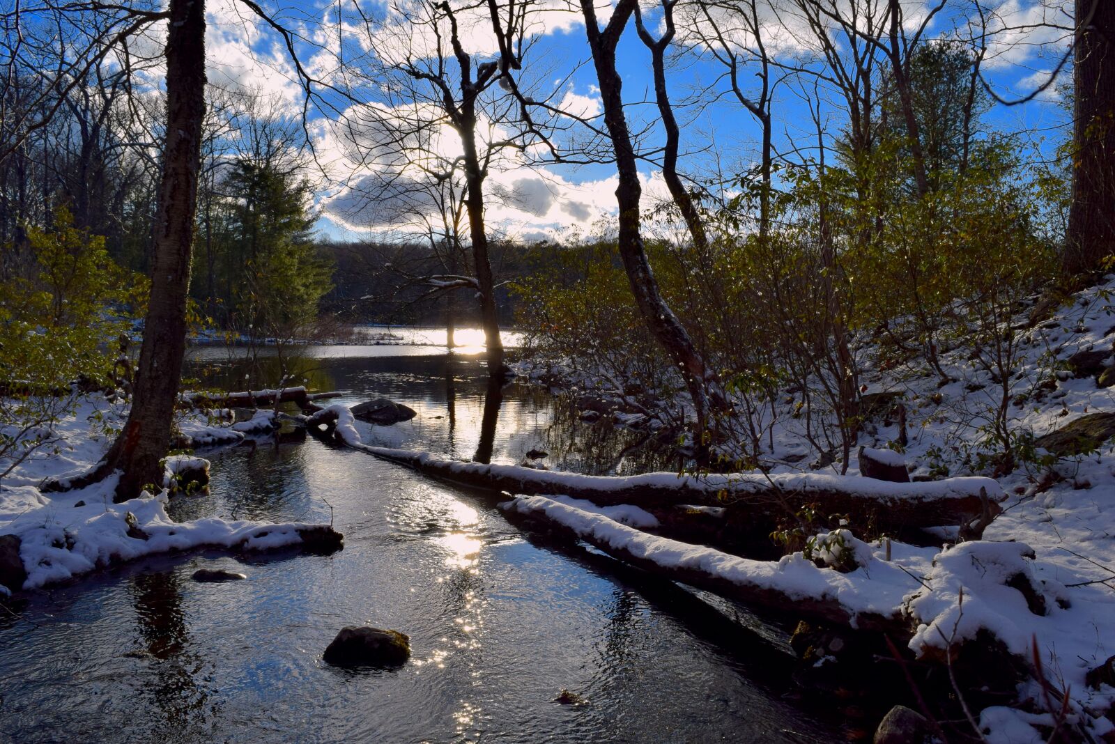 Nikon D3300 sample photo. Lake, winter, nature photography