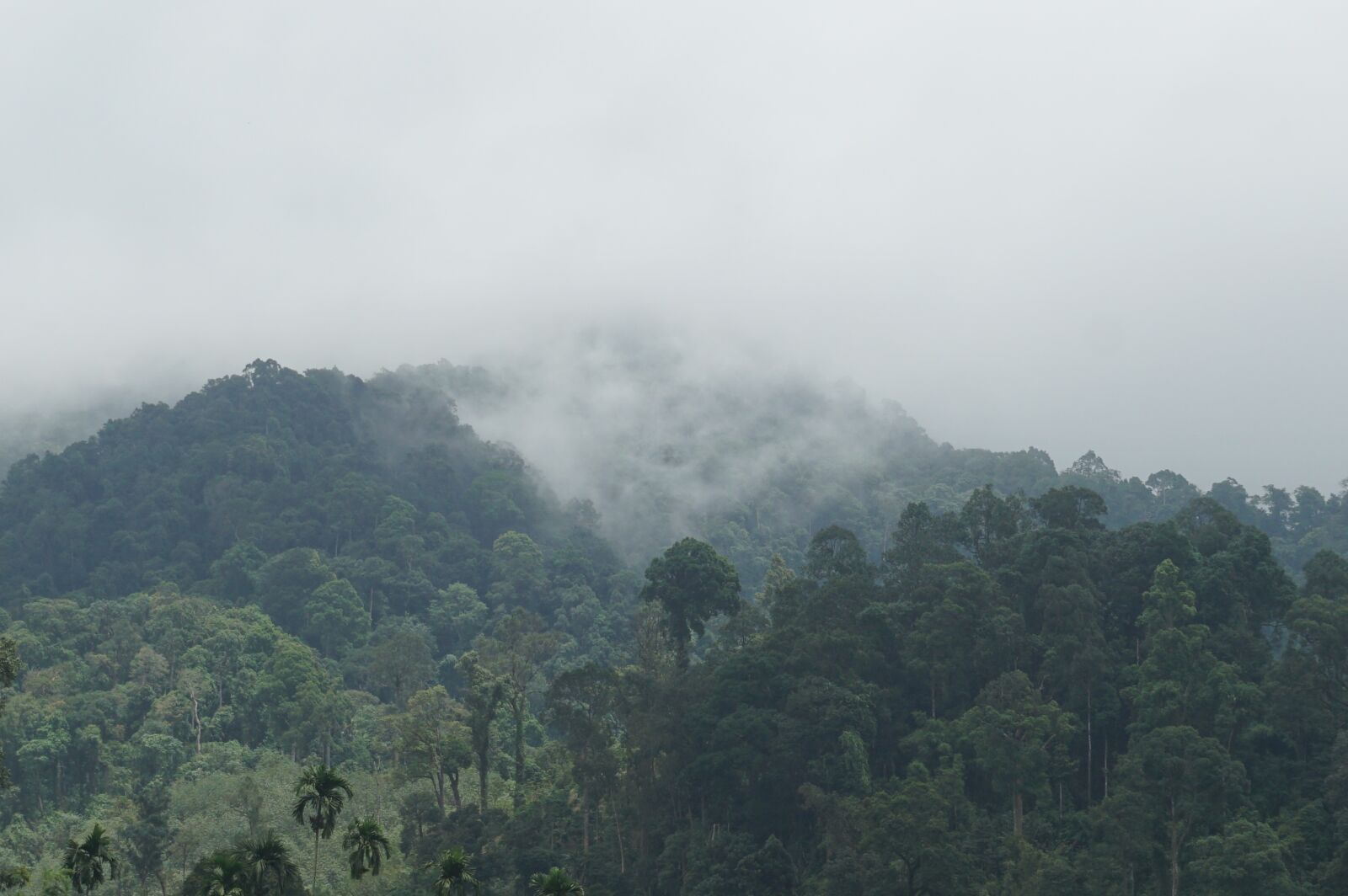 Sony E 16-50mm F3.5-5.6 PZ OSS sample photo. Mountains, the forests, nature photography