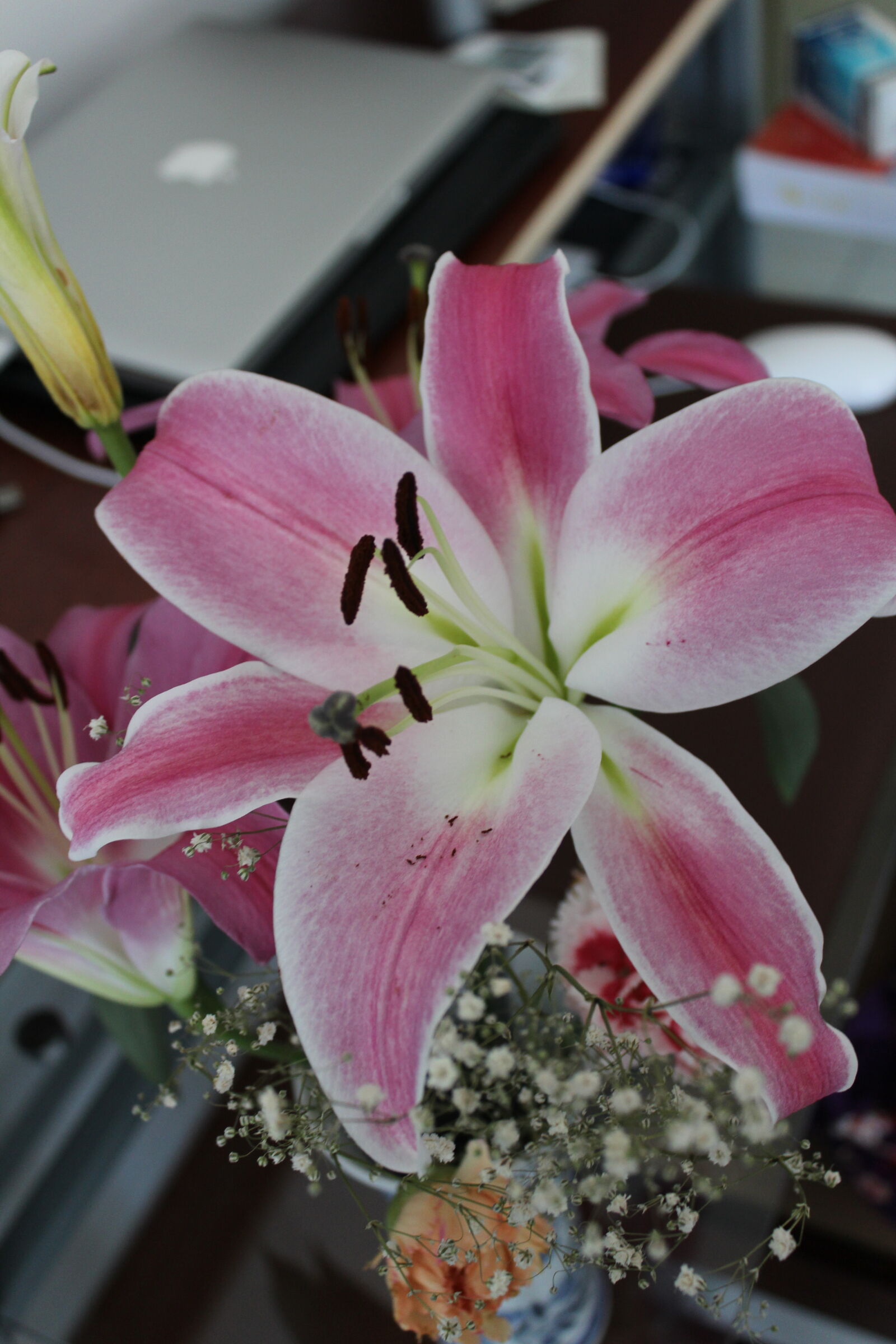 Canon EOS 1200D (EOS Rebel T5 / EOS Kiss X70 / EOS Hi) sample photo. Casablanca, desk, flowers, laptop photography