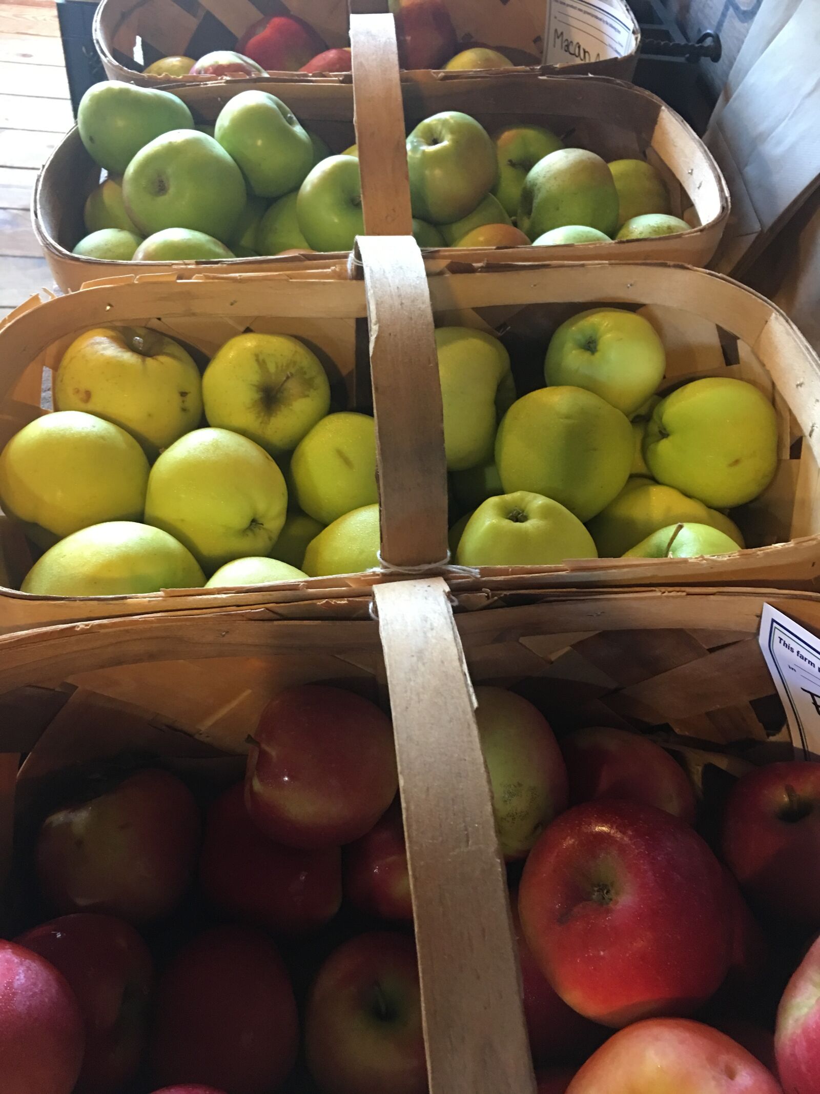 iPhone 6s Plus back camera 4.15mm f/2.2 sample photo. Apple, apples, autumn, fall photography