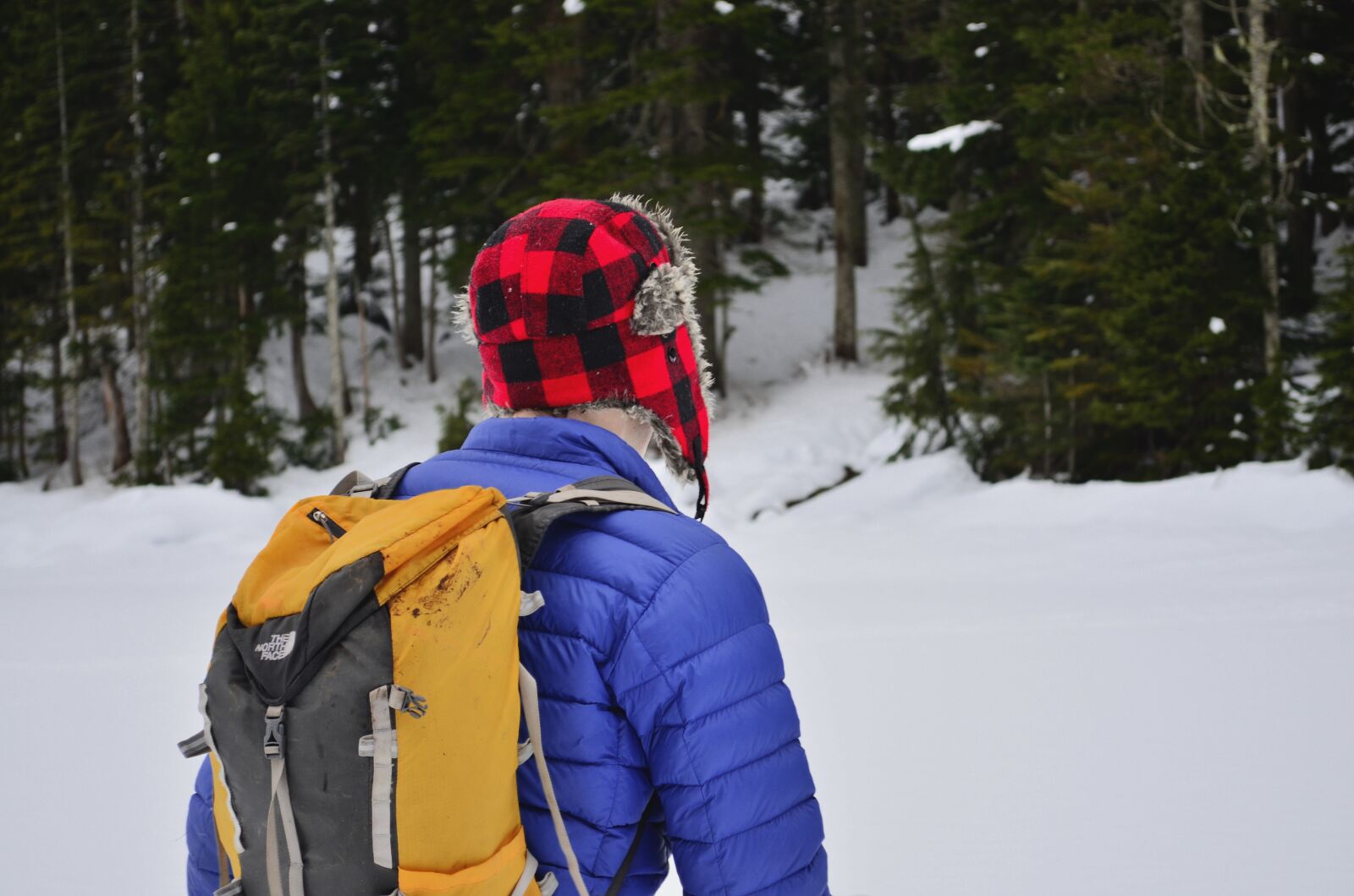 Nikon D5100 sample photo. Hiking, mountains, snow photography
