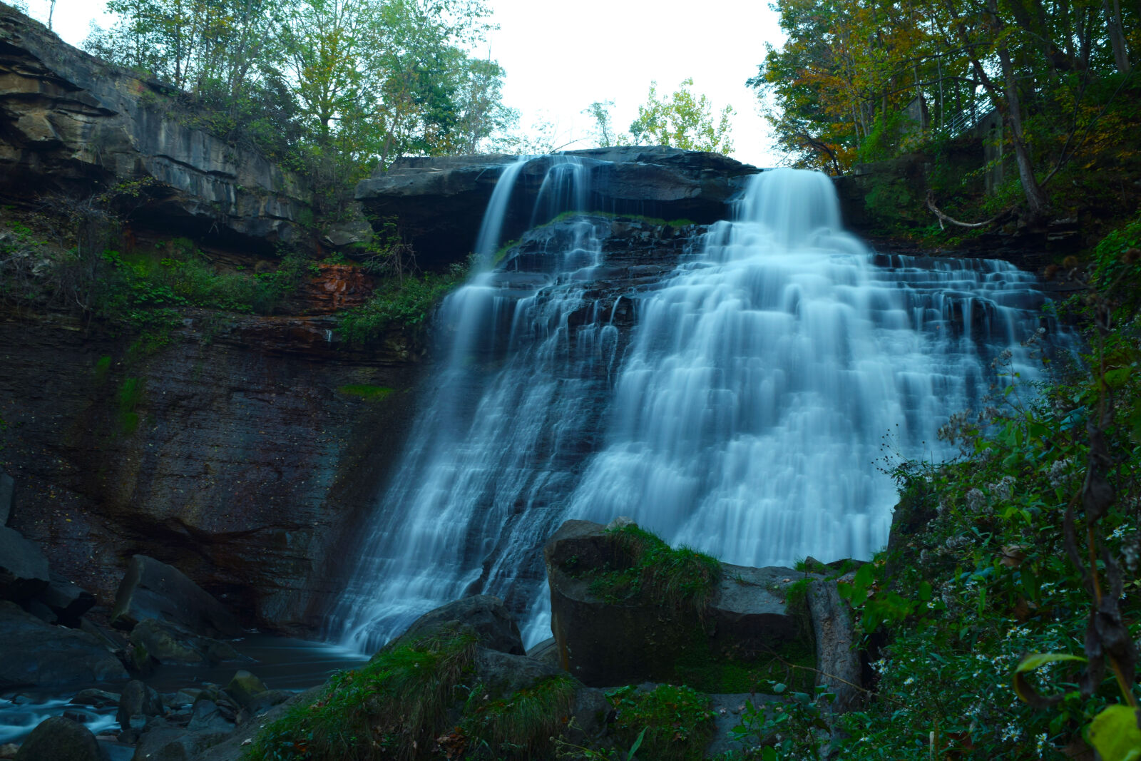 Nikon D3300 sample photo. Green, leaves, nature, rocks photography
