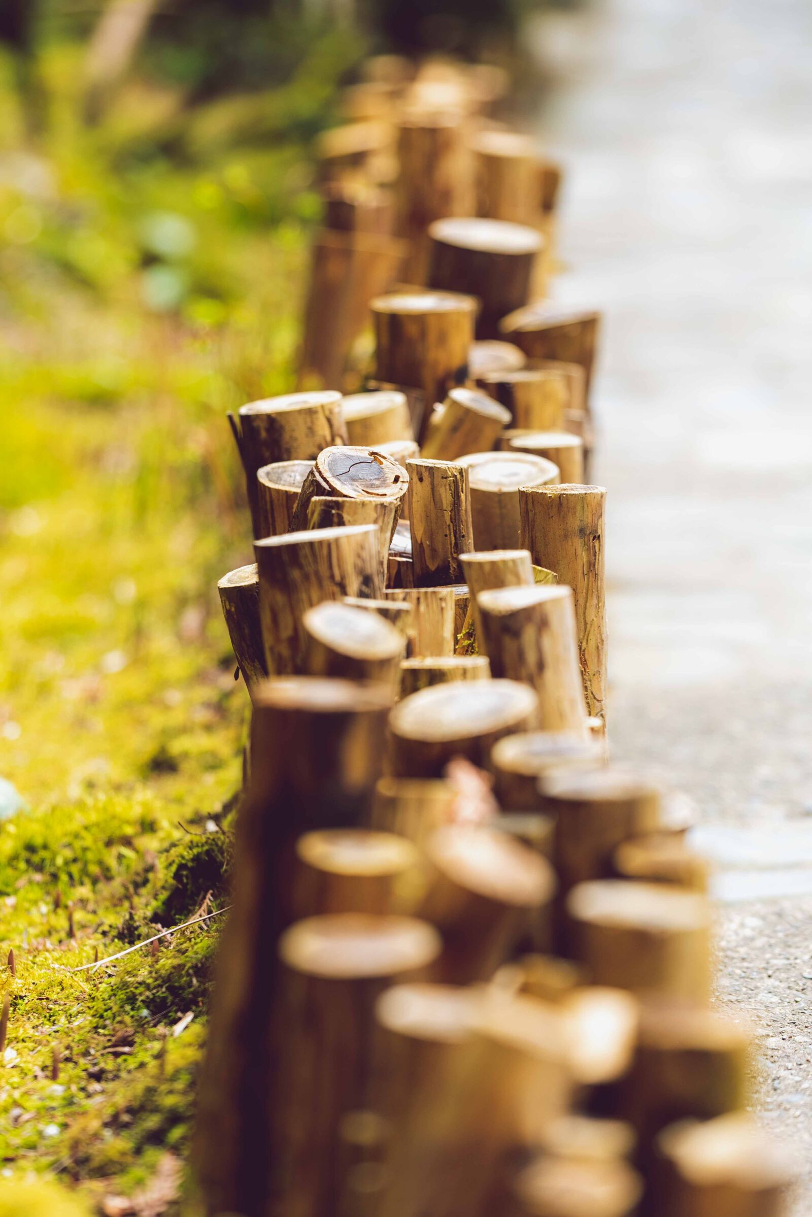 Nikon D750 sample photo. Wood, fence, bound photography