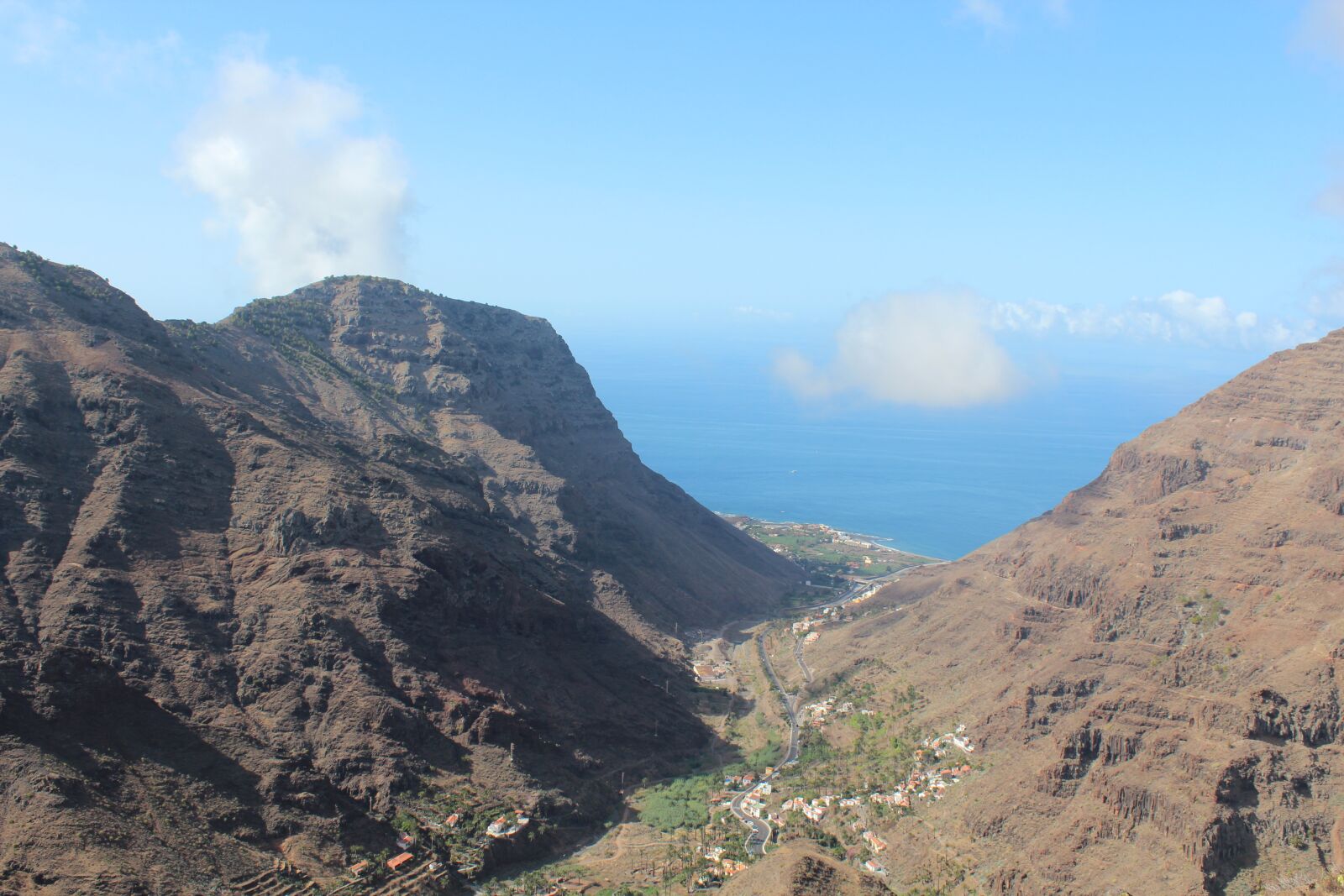 Canon EOS 600D (Rebel EOS T3i / EOS Kiss X5) sample photo. Canary islands, la reptiles photography