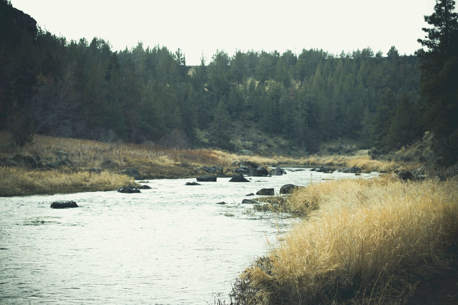 Canon EOS 50D sample photo. River, landscape, water, tree photography