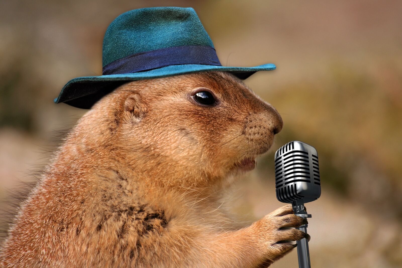 Canon EOS 350D (EOS Digital Rebel XT / EOS Kiss Digital N) sample photo. Prairie dog, singing, musical photography