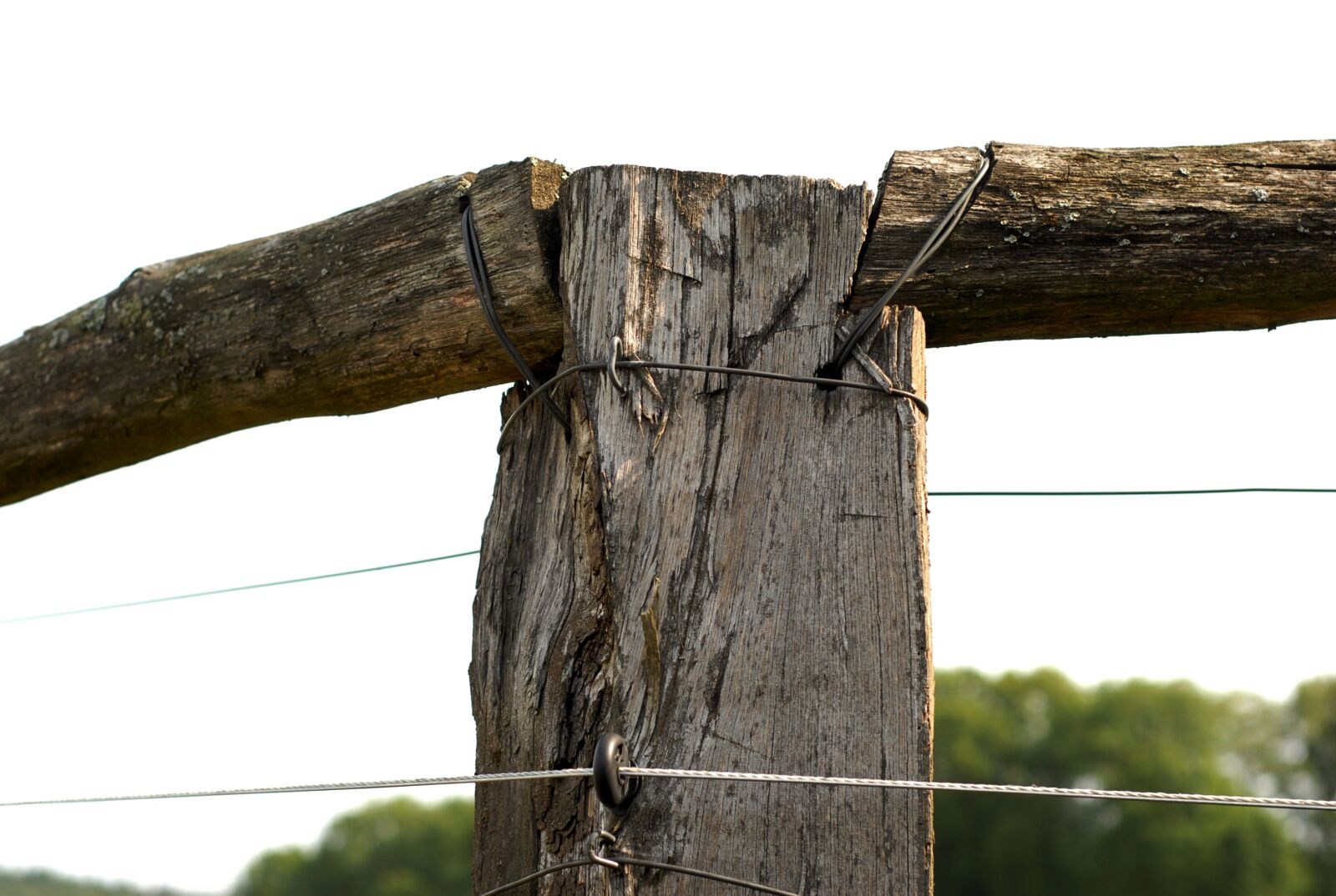 Nikon D200 sample photo. Wood, pillar, fencing photography