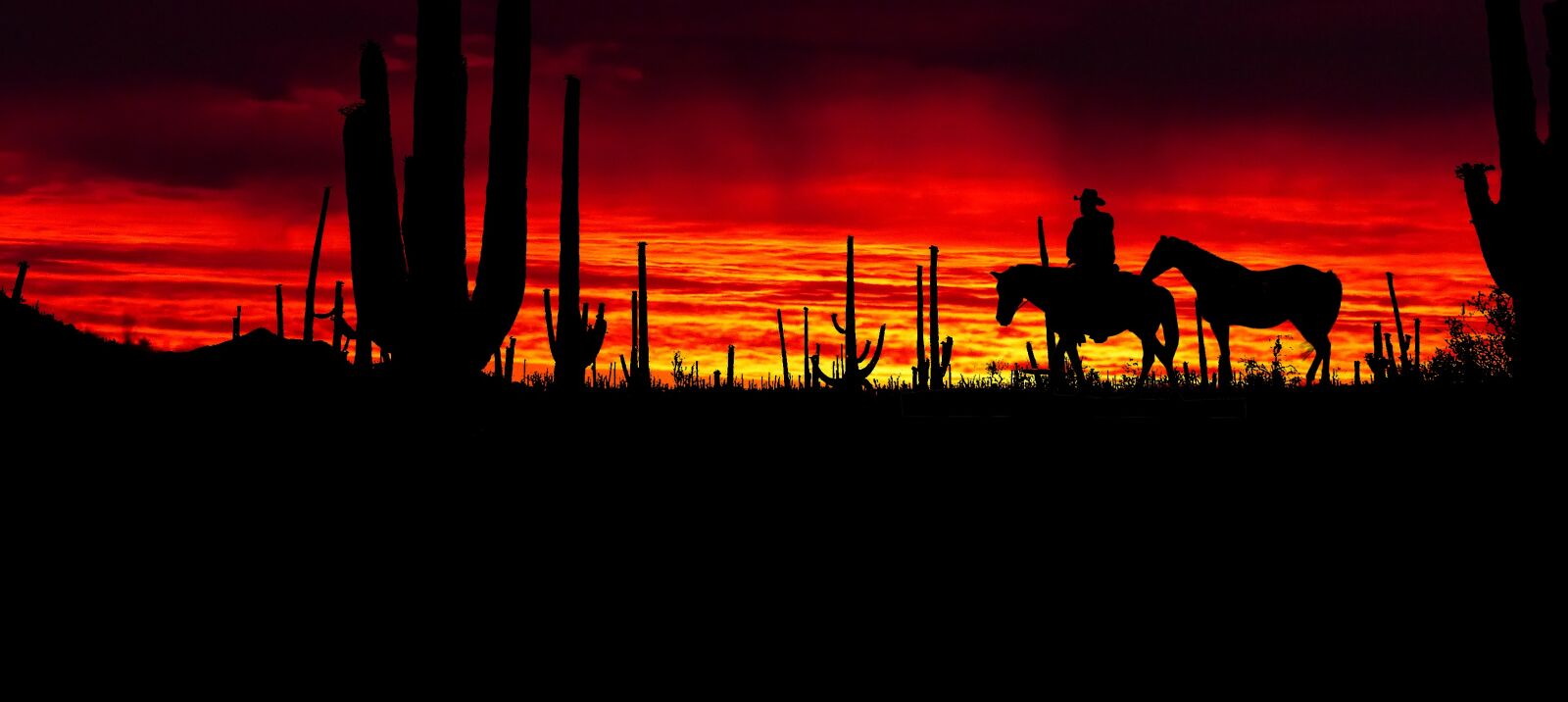 Panasonic Lumix DMC-FZ200 sample photo. Sunset, america, park photography