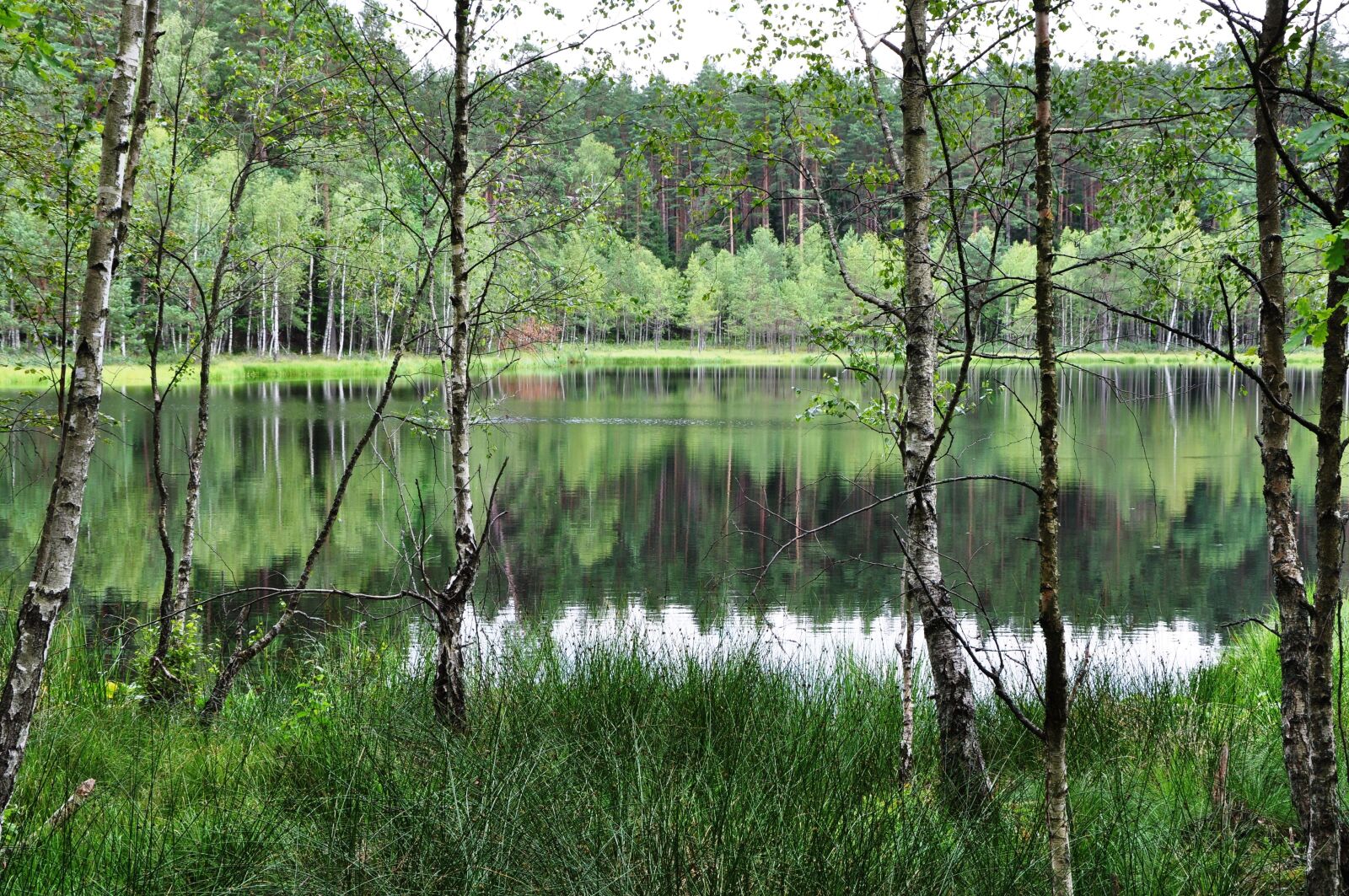 Nikon D90 sample photo. Masuria, forest, lake photography